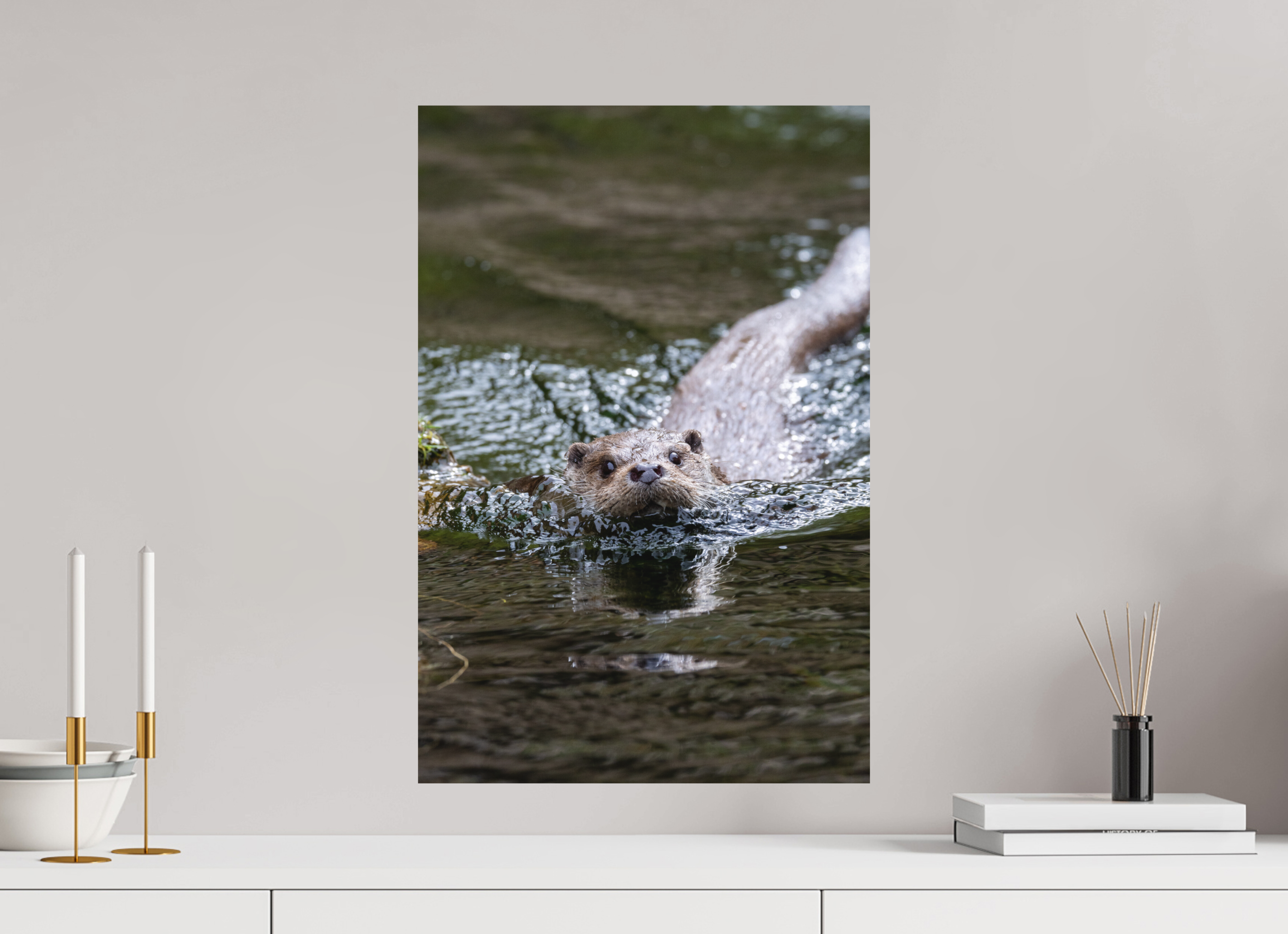 40 x 60 cm, Fine-Art Matt Curious Approach