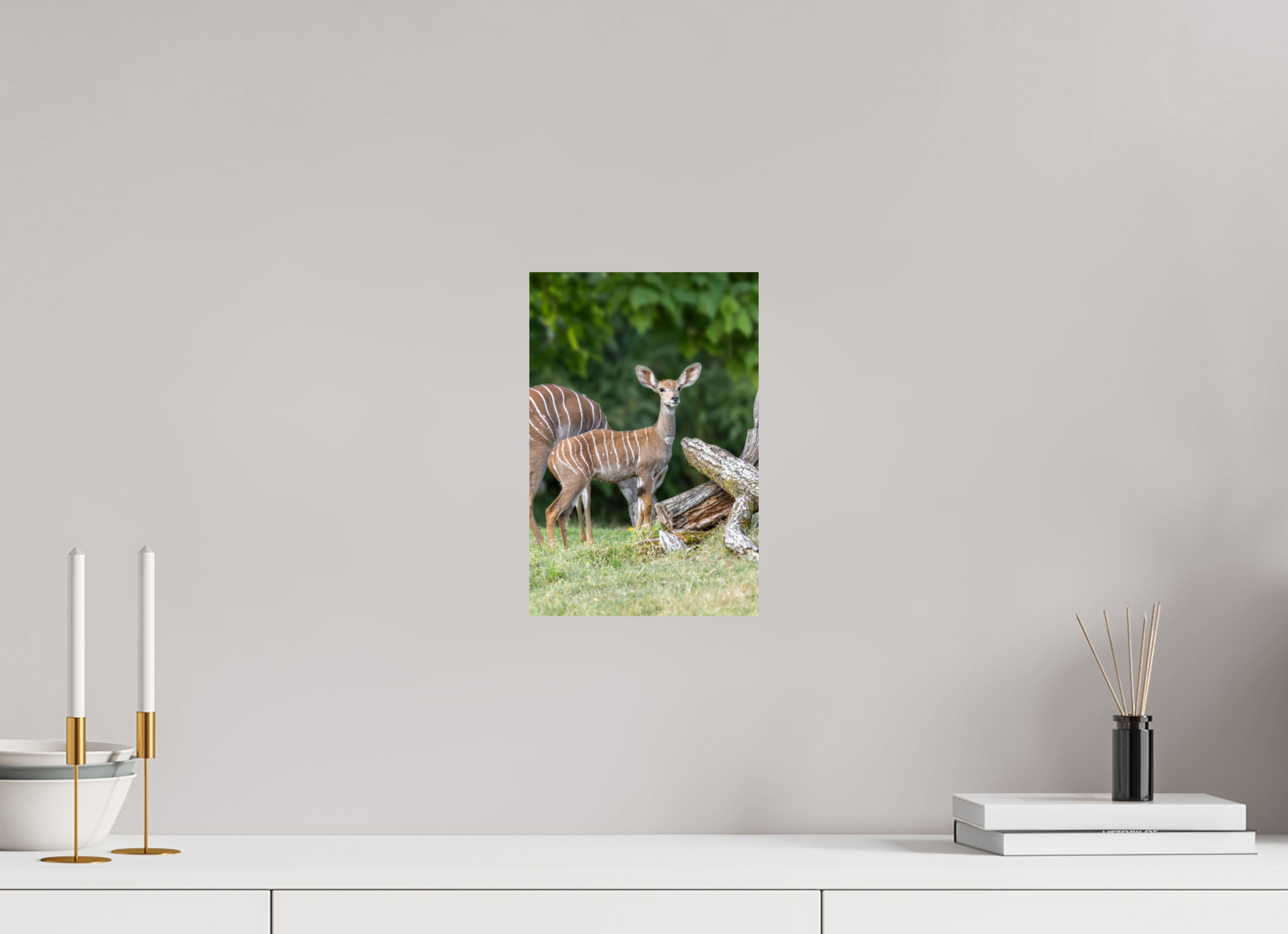 20 x 30 cm, Fine Art Print auf Alu-Dibond Gentle Youth