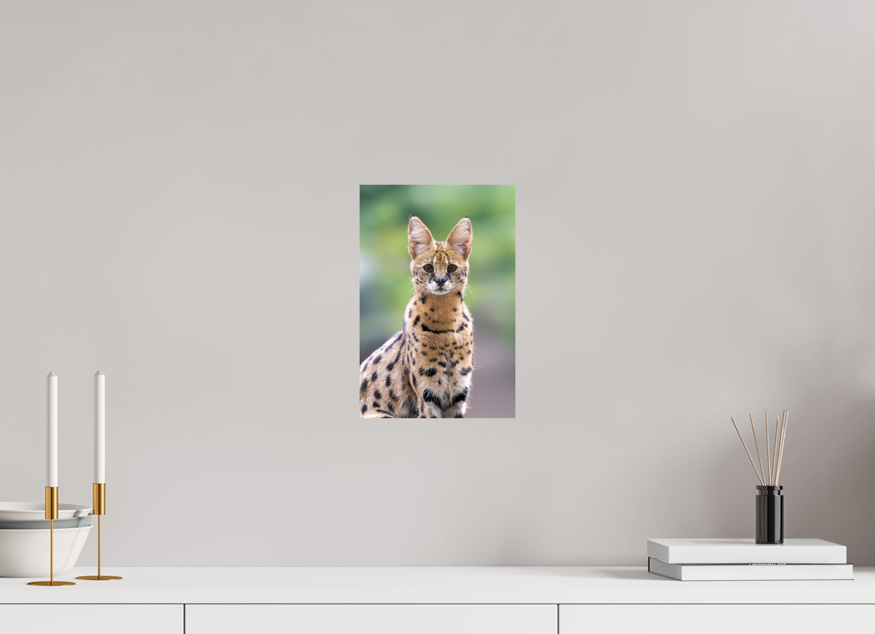 20 x 30 cm, Fine Art Print auf Alu-Dibond Savannah Spirit