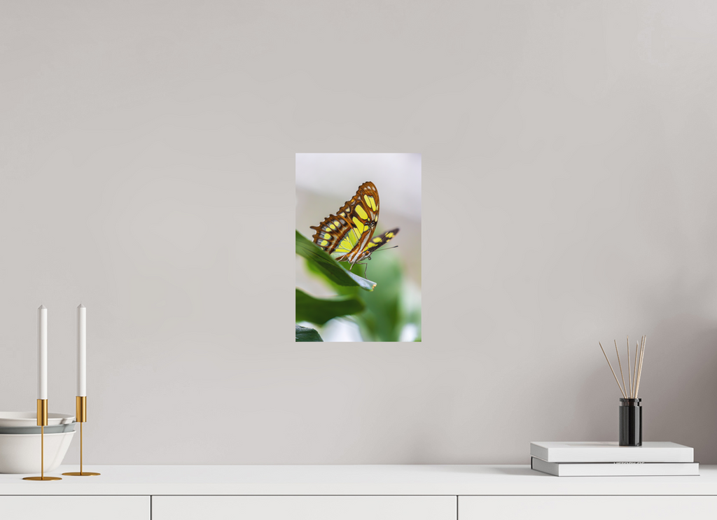 20 x 30 cm, Fine-Art Matt Soft Beauty