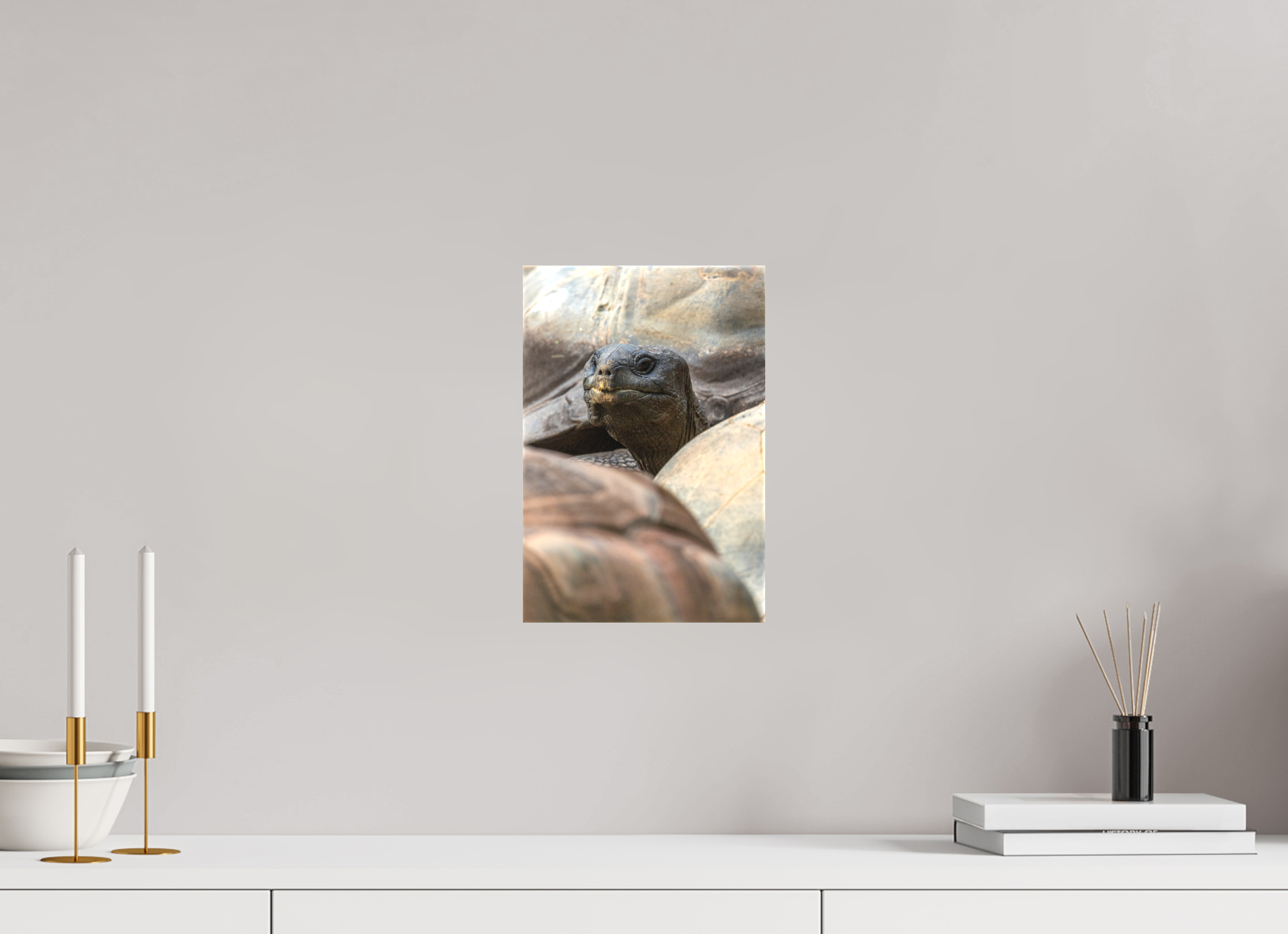 20 x 30 cm, Leinwand Peekaboo Giant