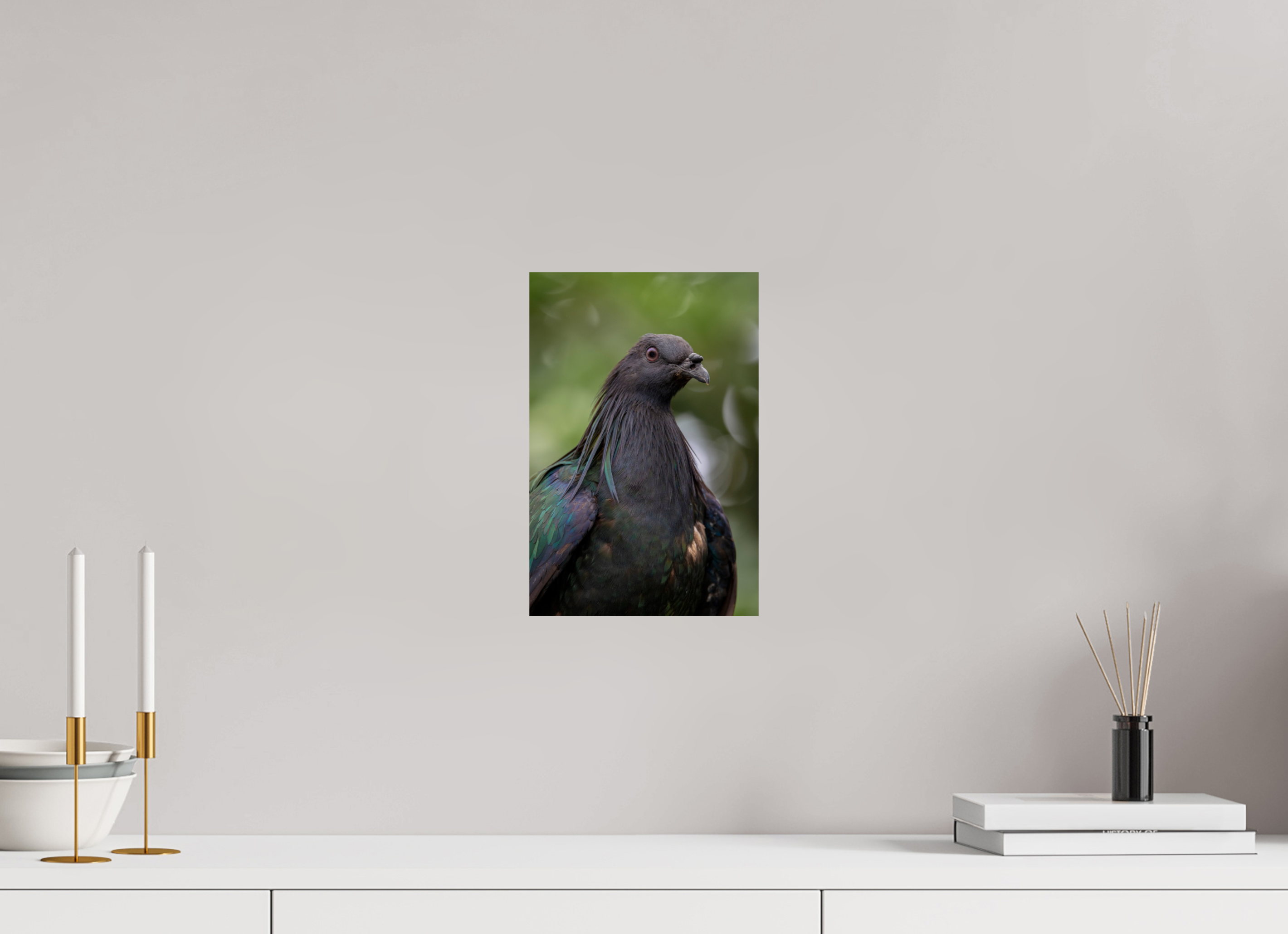 20 x 30 cm, Fine Art Print auf Alu-Dibond Midnight Collar