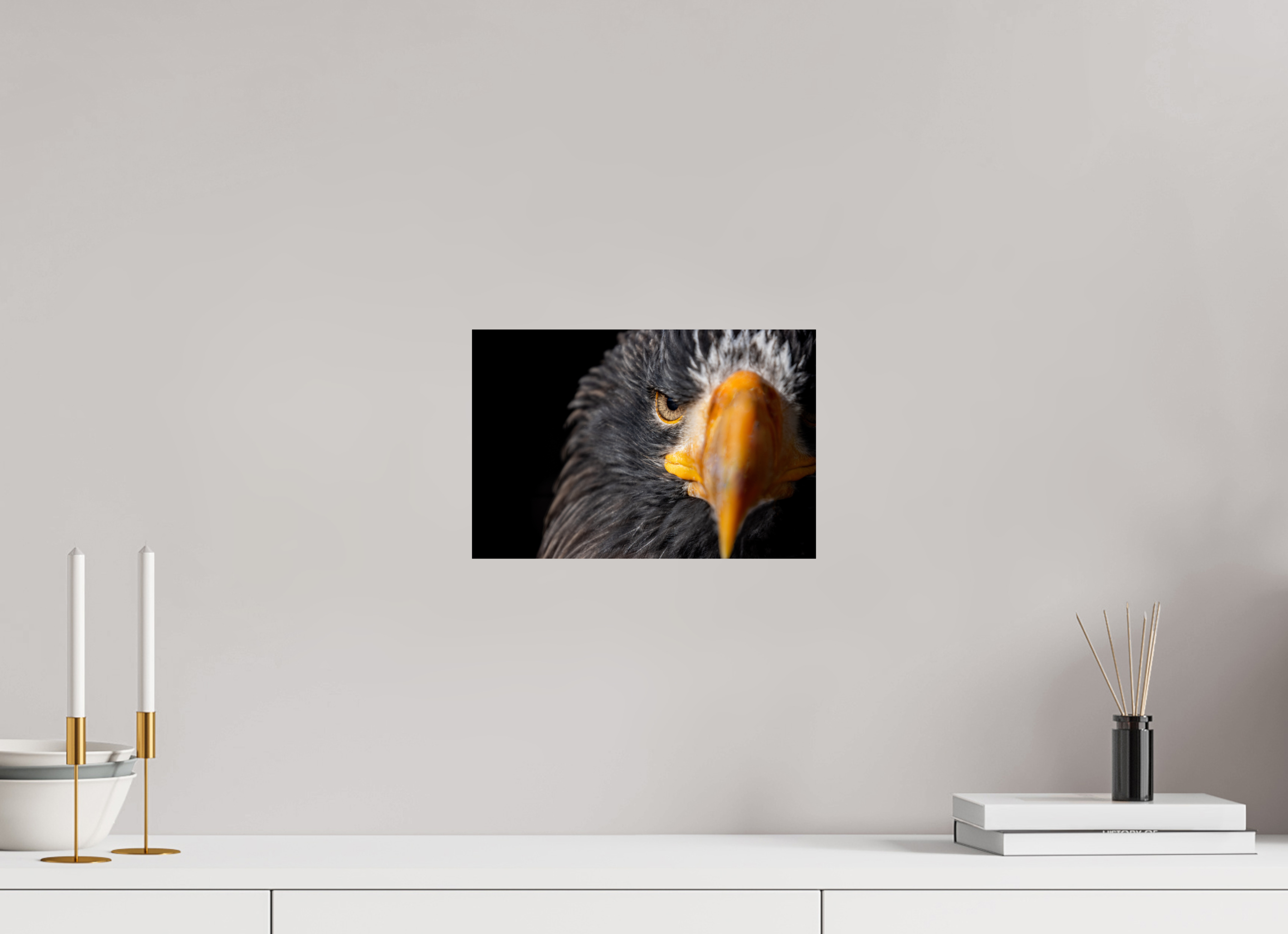 30 x 20 cm, Fine Art Print auf Alu-Dibond Piercing Gaze