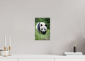 20 x 30 cm, Fine Art Print auf Alu-Dibond Forest Friend