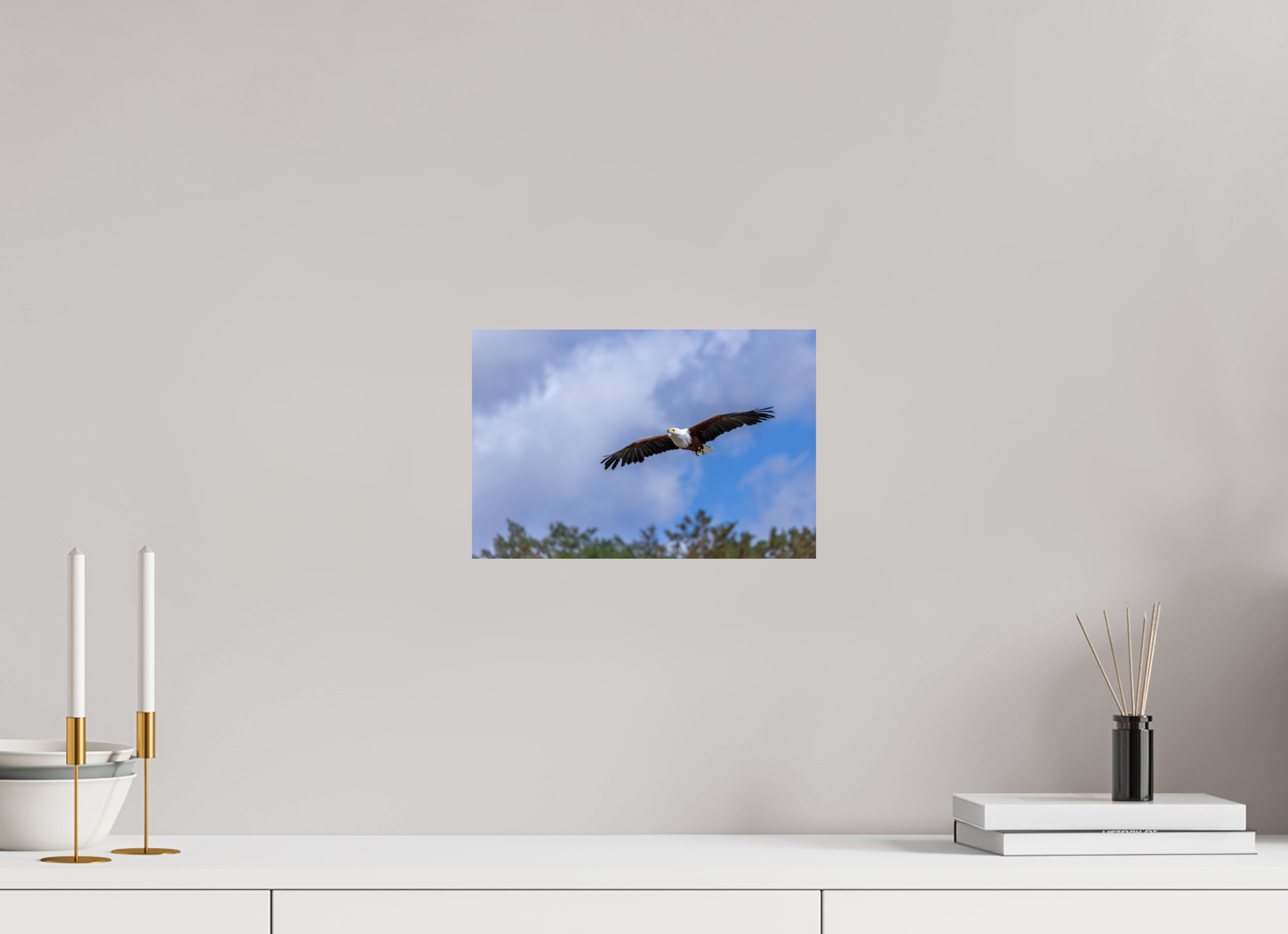 30 x 20 cm, Fine Art Print auf Alu-Dibond Wings of Africa