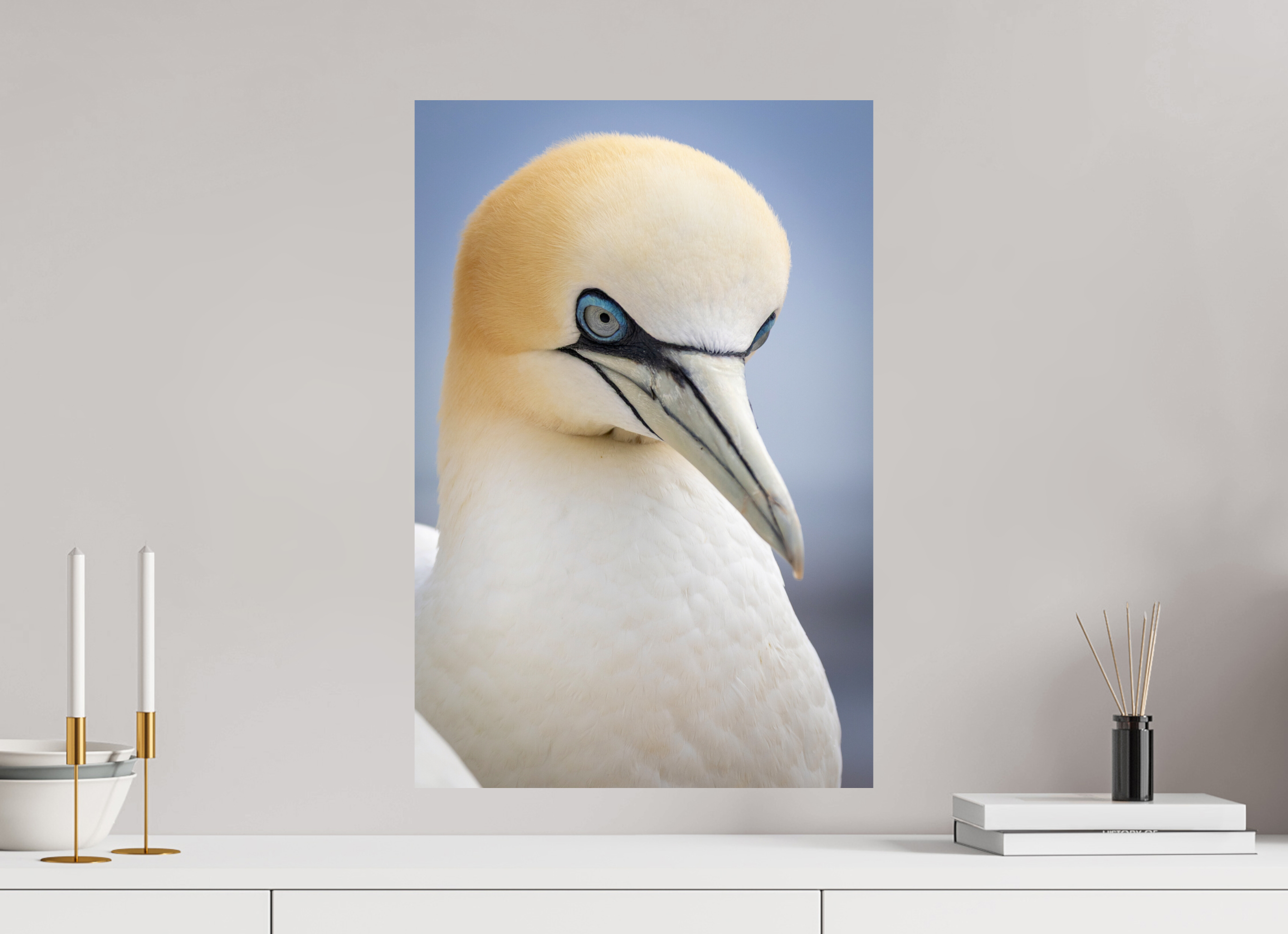 40 x 60 cm, Fine Art Print auf Alu-Dibond Seabird Majesty