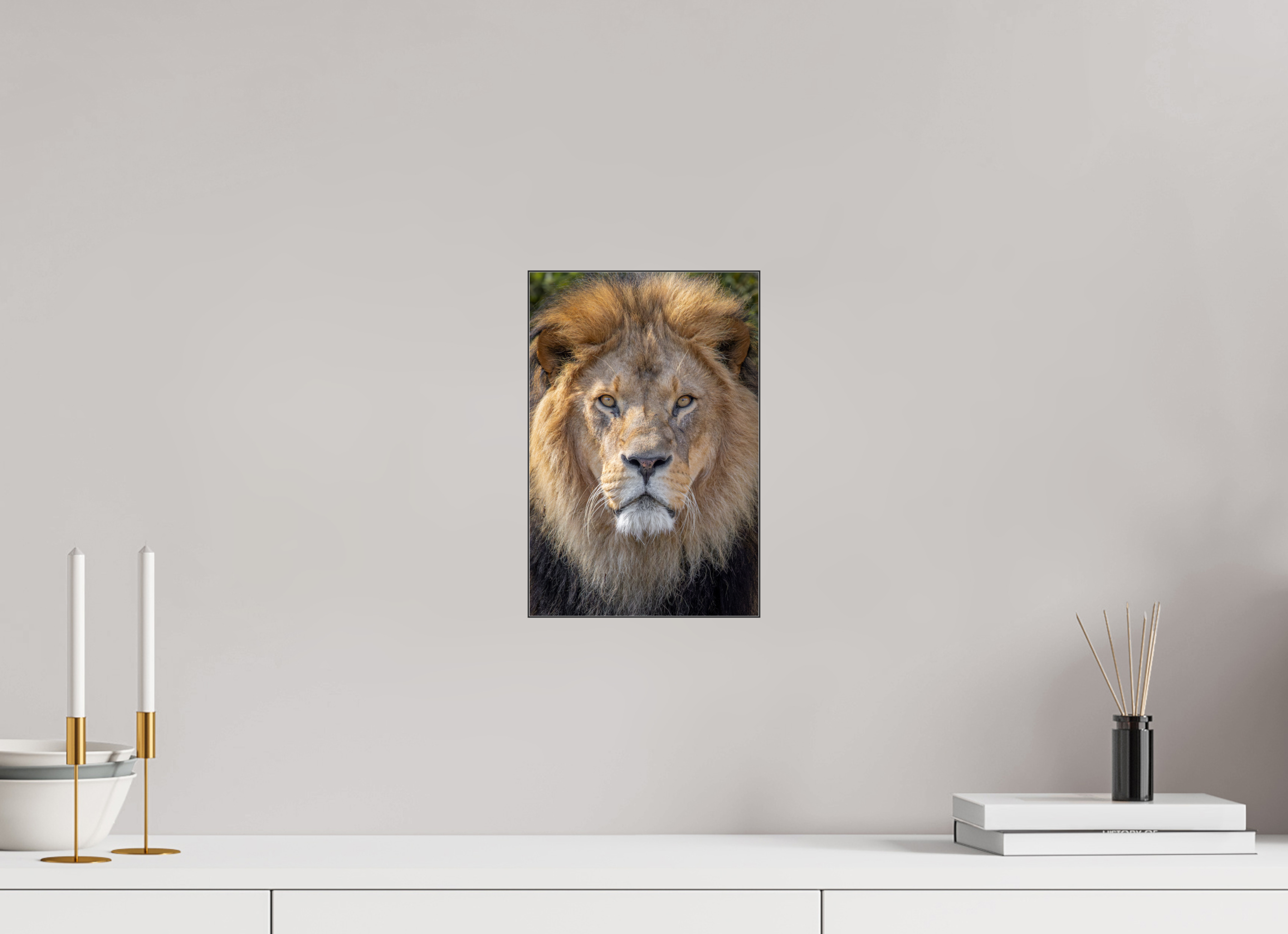20 x 30 cm, Foto-Abzug hinter Acrylglas glänzend Eternal King
