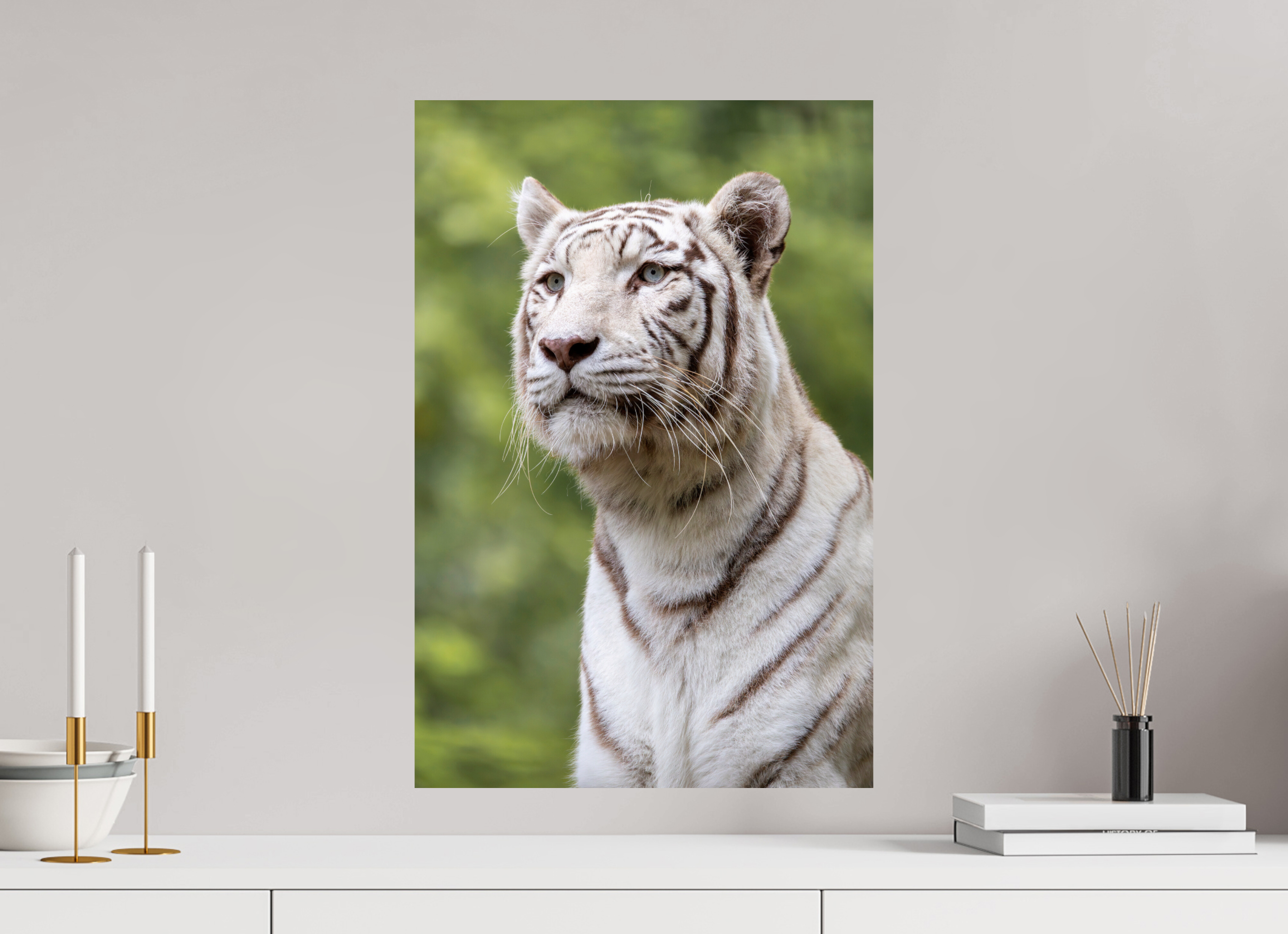 40 x 60 cm, Fine Art Print auf Alu-Dibond Gaze of the White King