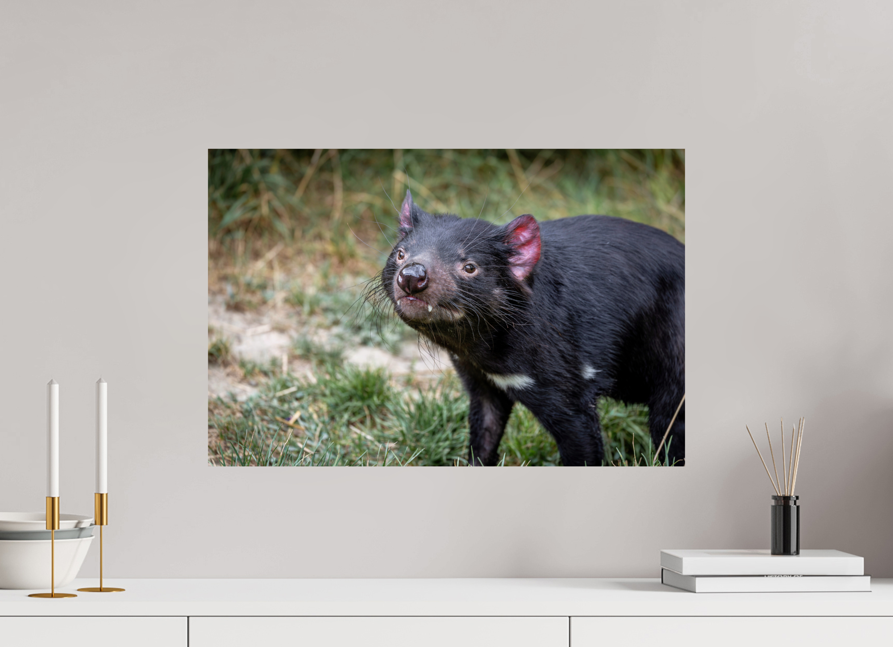 60 x 40 cm, Fine Art Print auf Alu-Dibond Friendly Devil