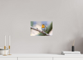 30 x 20 cm, Fine-Art Matt Gentle Watcher
