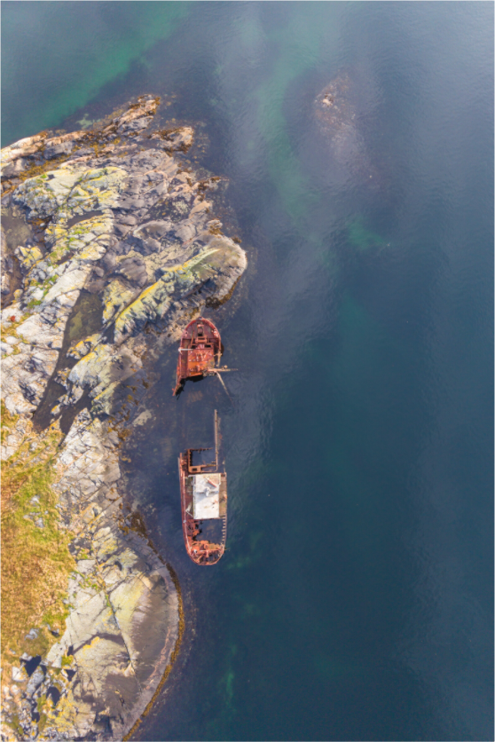 Main image Coastal Relic