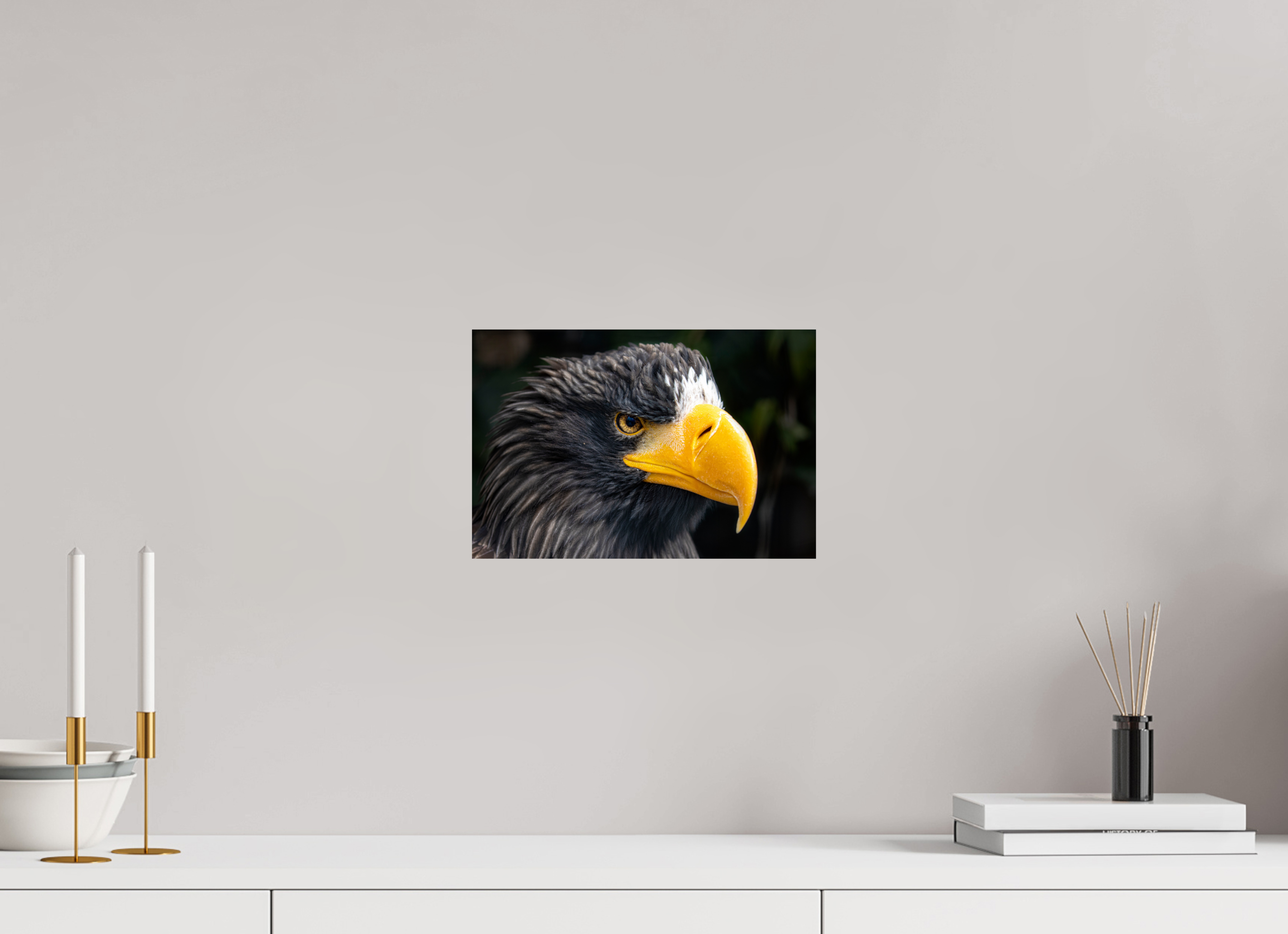 30 x 20 cm, Fine Art Print auf Alu-Dibond Imperial Gaze