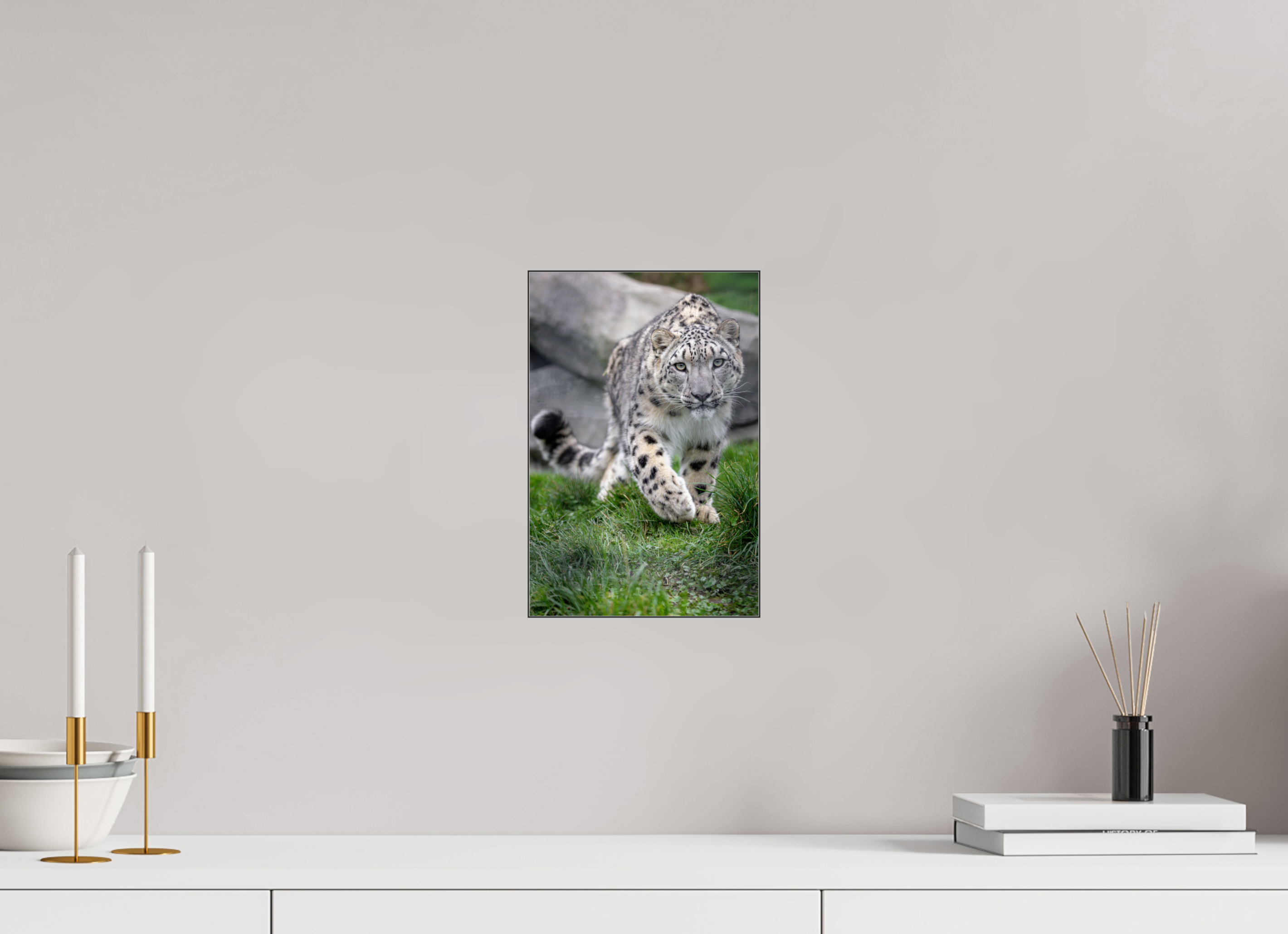 20 x 30 cm, Foto-Abzug hinter Acrylglas glänzend Curious Hunter