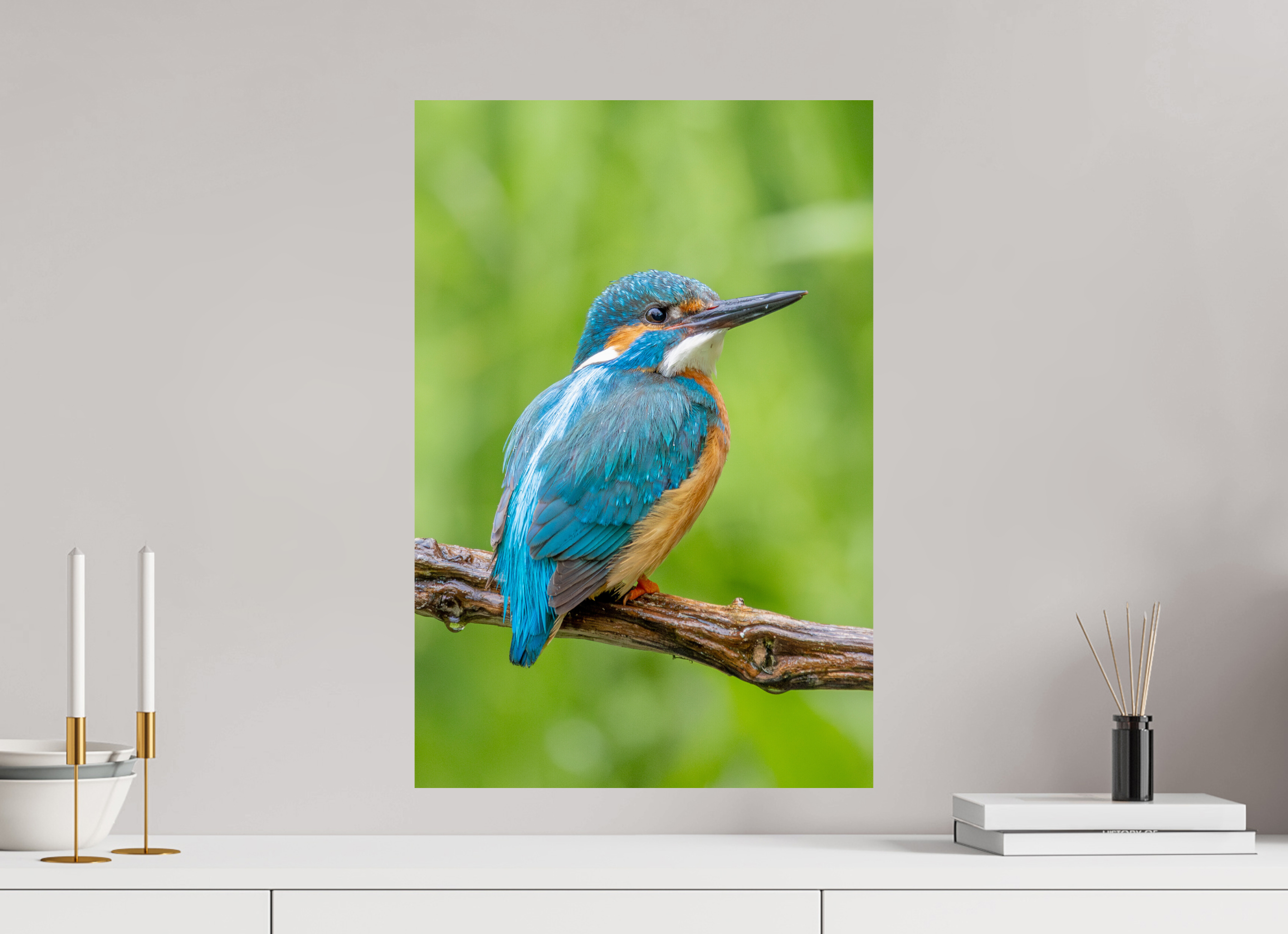 40 x 60 cm, Fine Art Print auf Alu-Dibond Natures Jewel