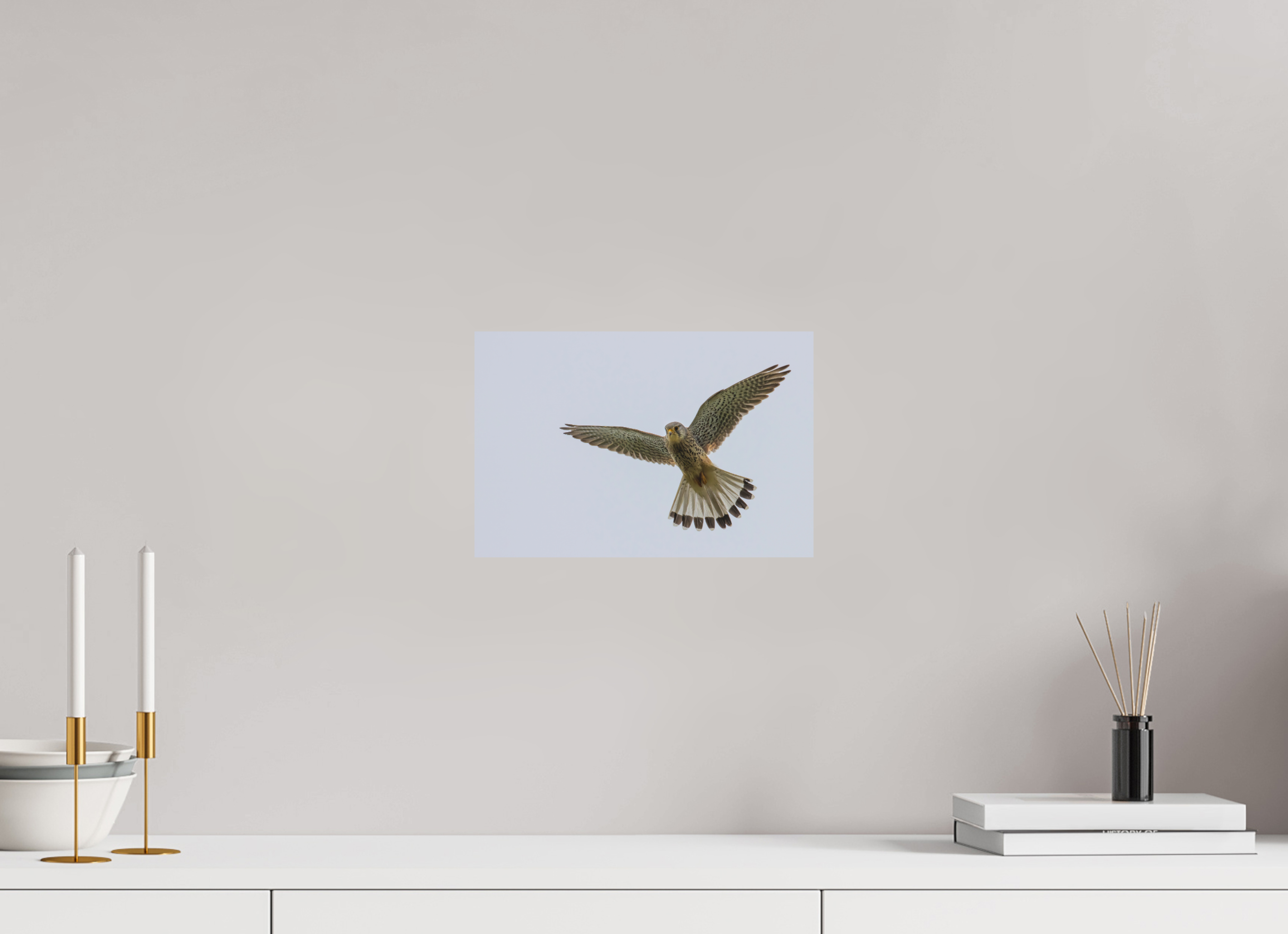 30 x 20 cm, Fine-Art Matt Hovering Hunter