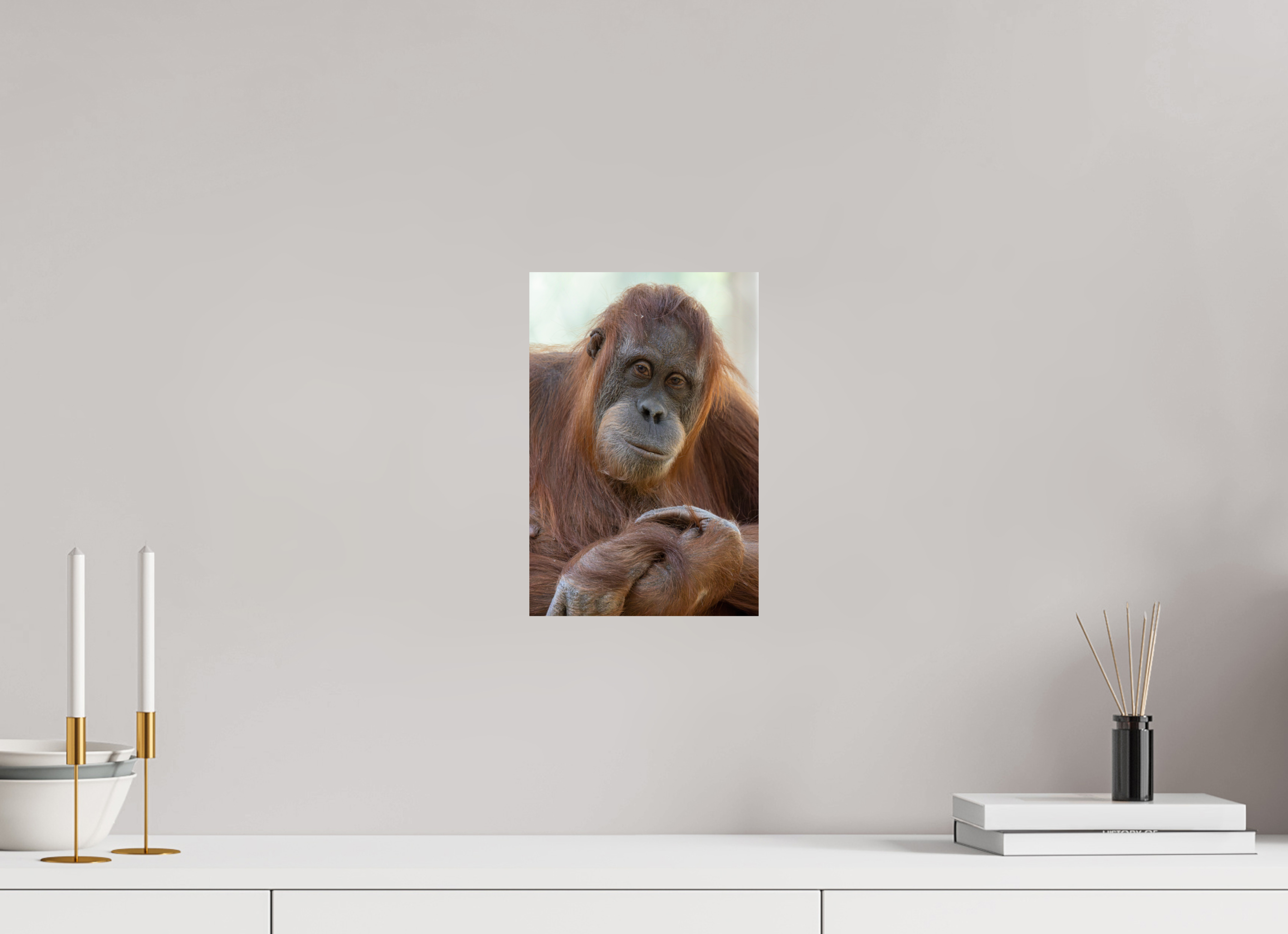 20 x 30 cm, Fine Art Print auf Alu-Dibond Soulful Gaze