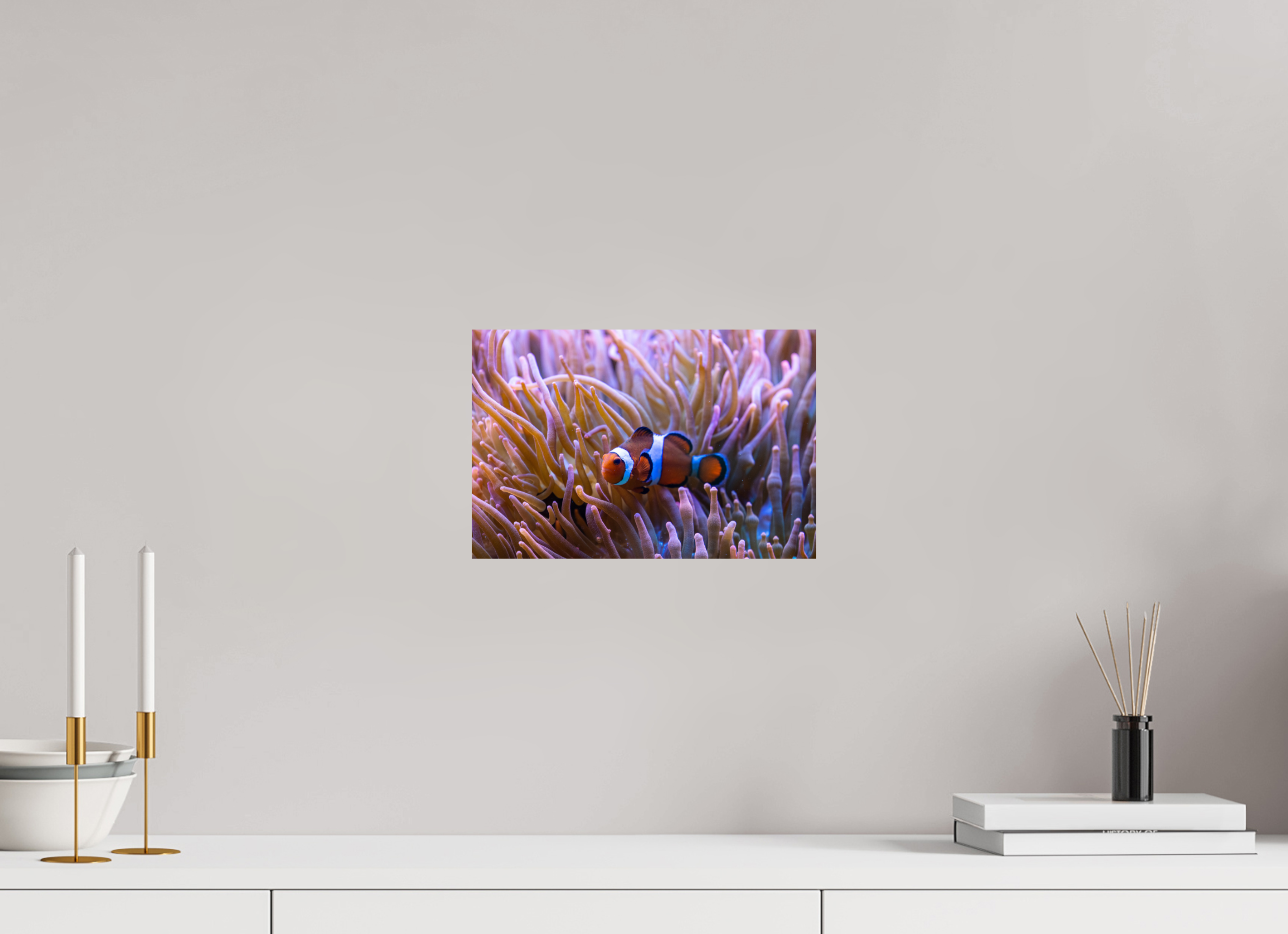 30 x 20 cm, Fine Art Print auf Alu-Dibond Reef Life