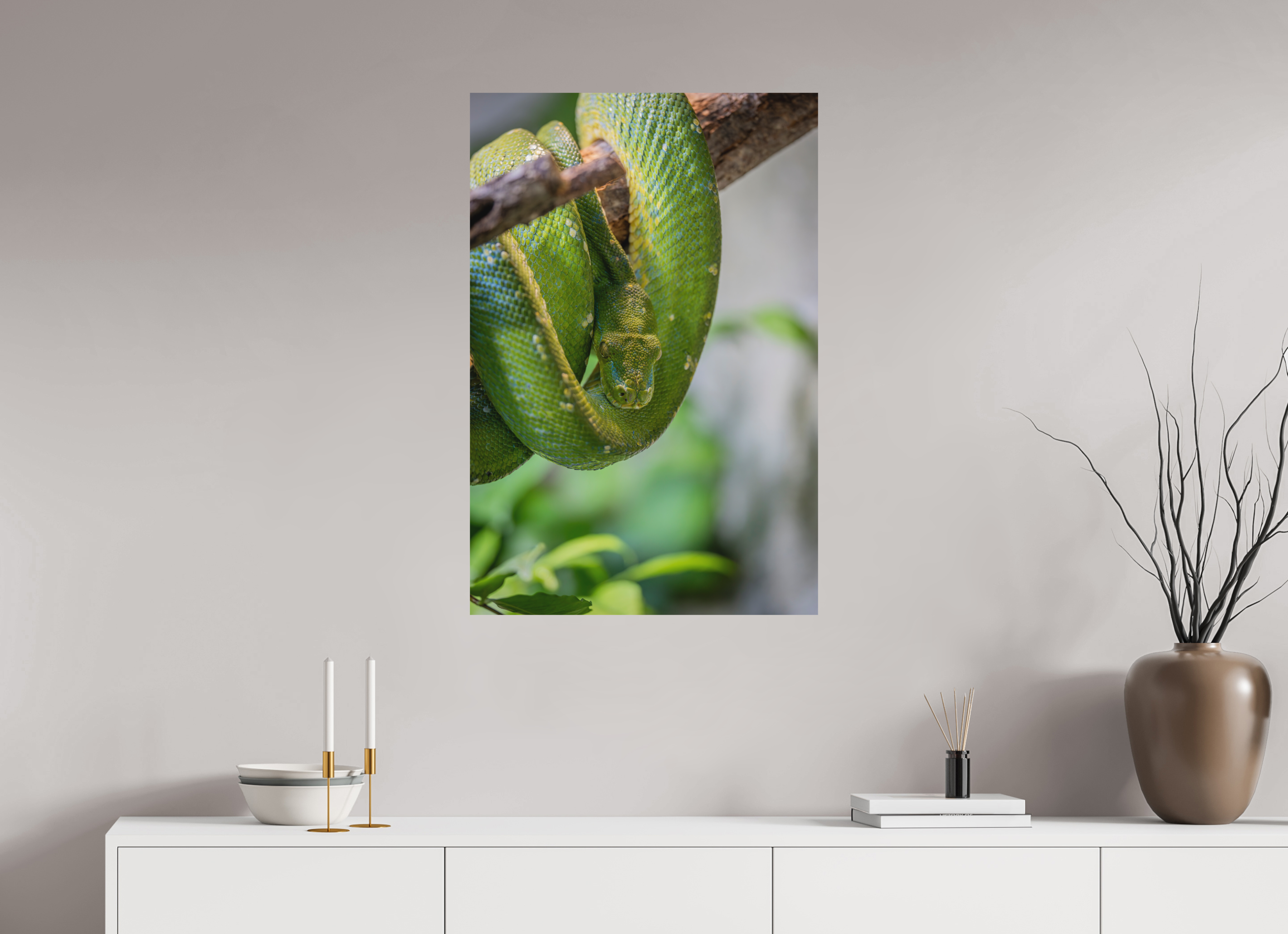 60 x 90 cm, Fine-Art Print Matt Coiled in Green