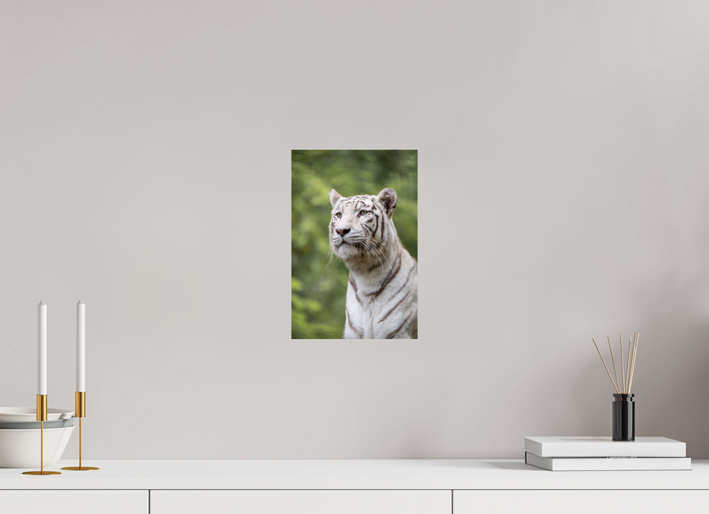 20 x 30 cm, Fine Art Print auf Alu-Dibond Gaze of the White King