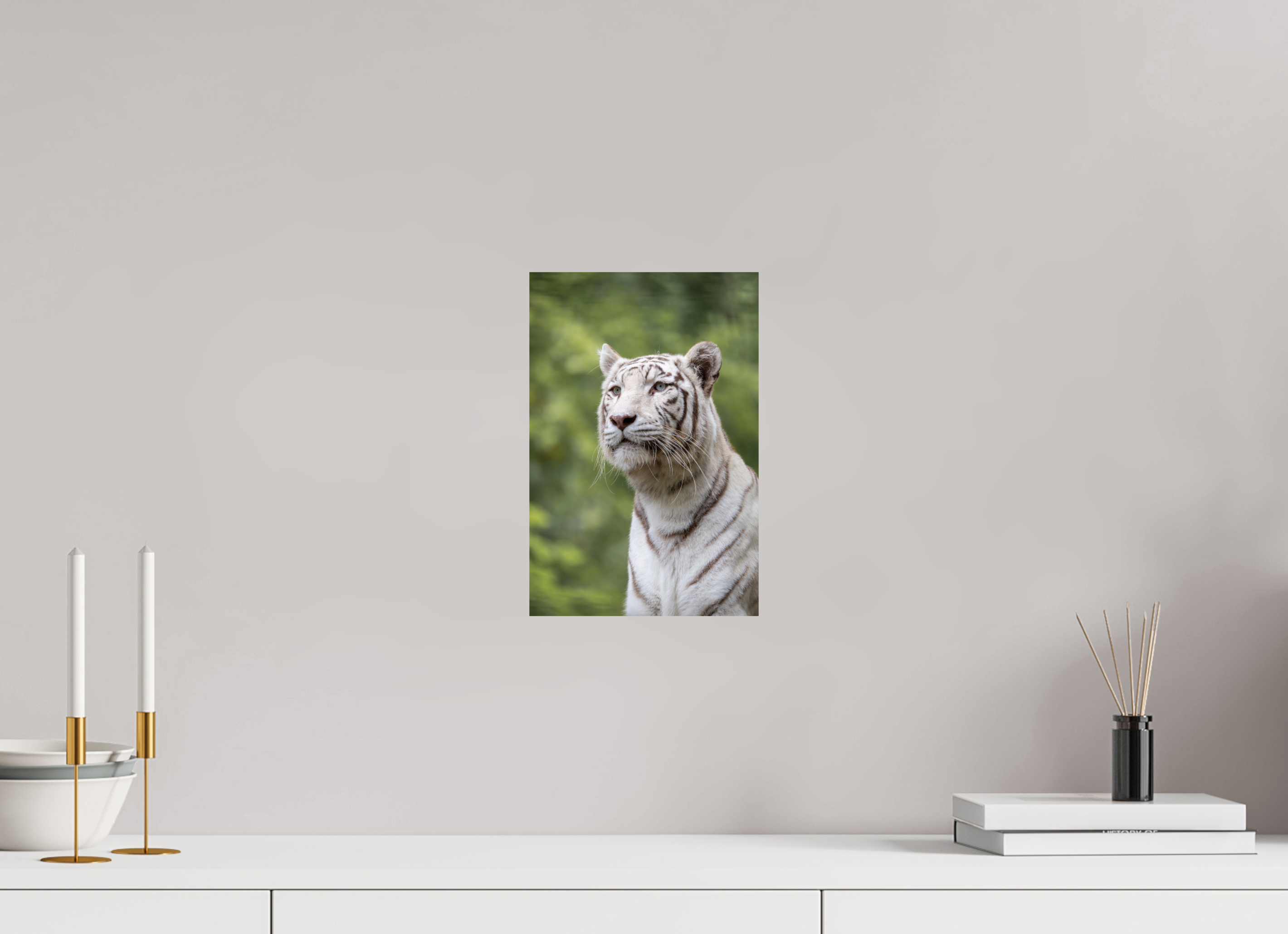 20 x 30 cm, Fine Art Print auf Alu-Dibond Gaze of the White King