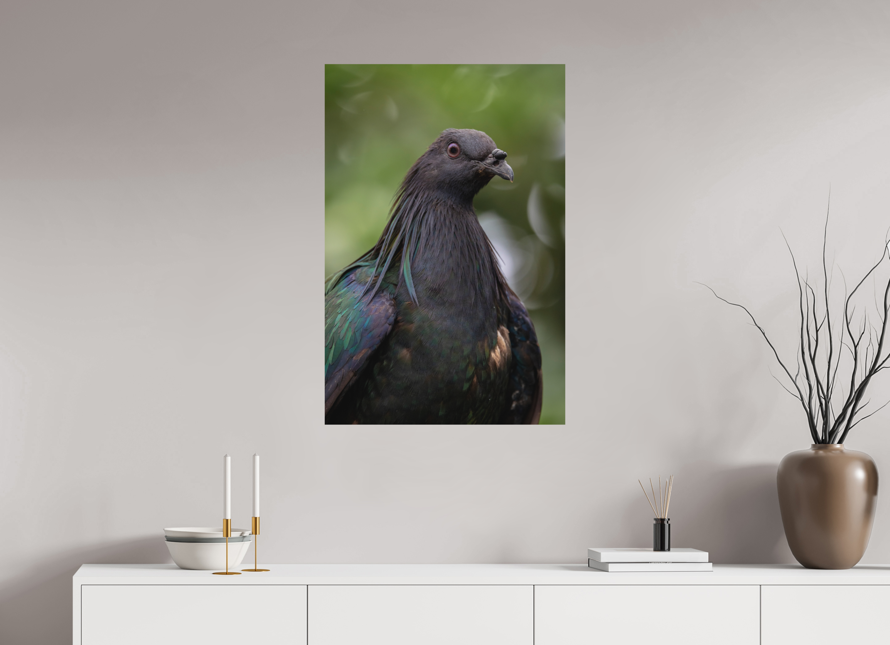 60 x 90 cm, Fine-Art Print Matt Midnight Collar