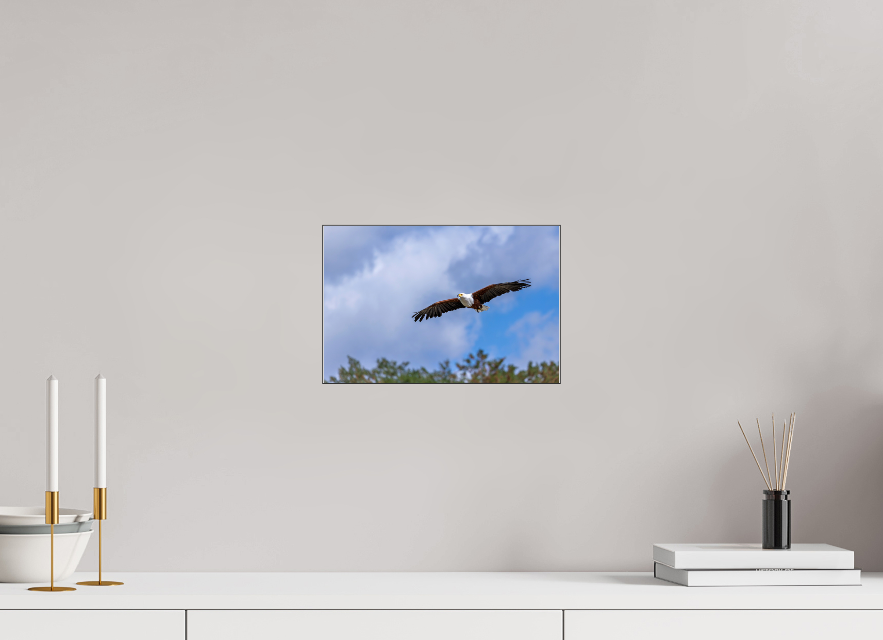 30 x 20 cm, Foto-Abzug hinter Acrylglas glänzend Wings of Africa
