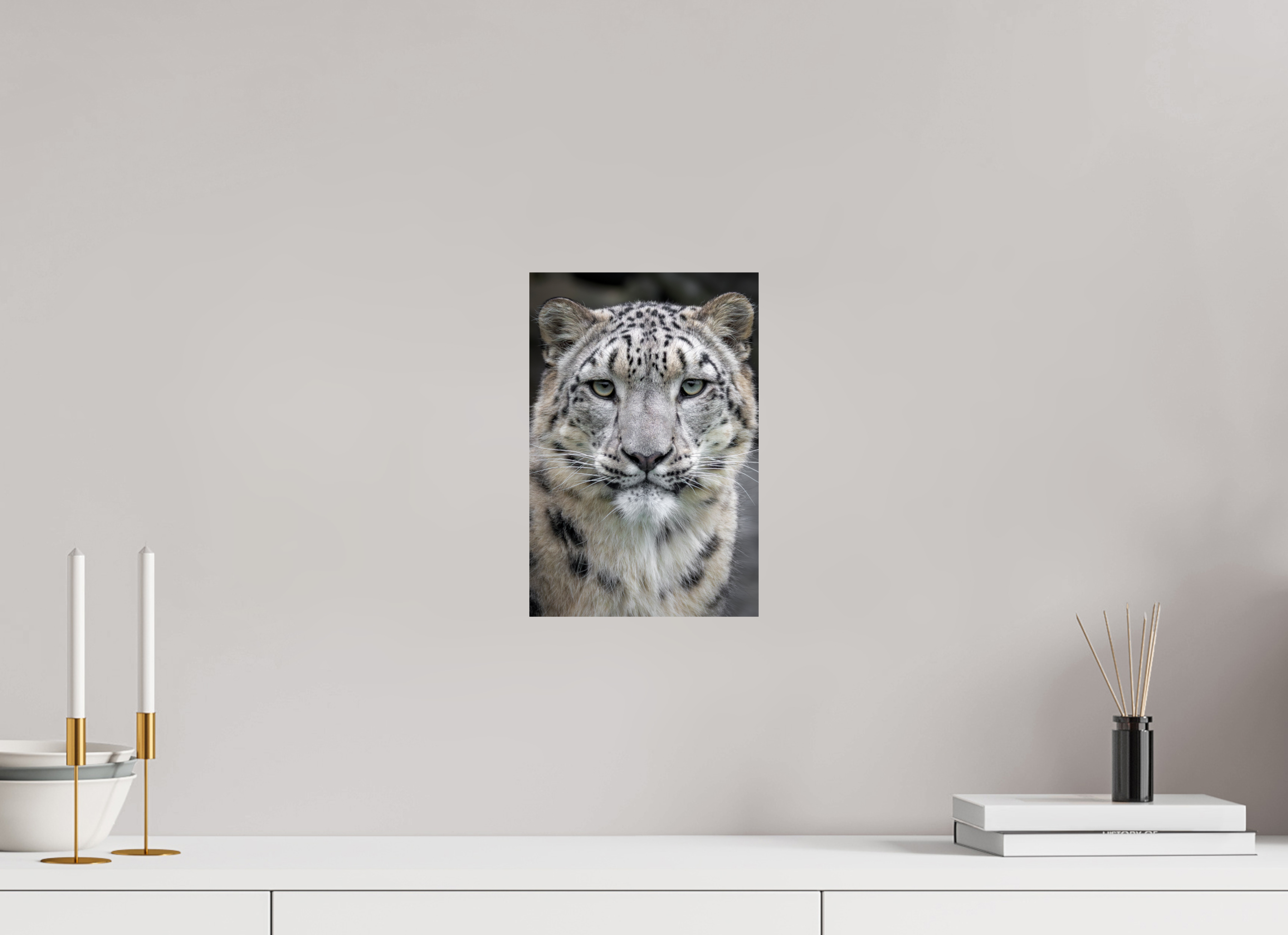 20 x 30 cm, Fine Art Print auf Alu-Dibond Gentle Curiosity