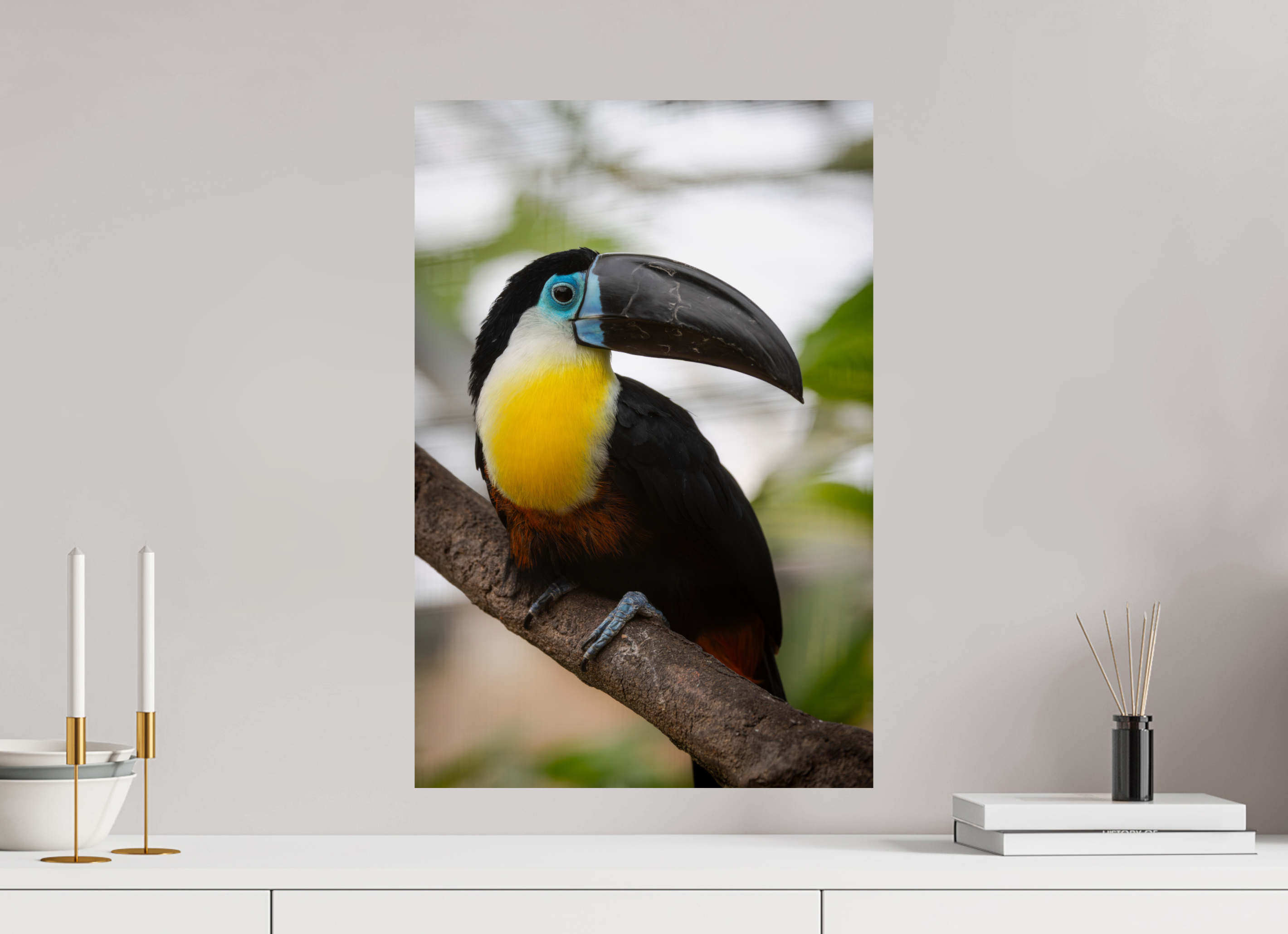 40 x 60 cm, Fine Art Print auf Alu-Dibond Tropical Wonder