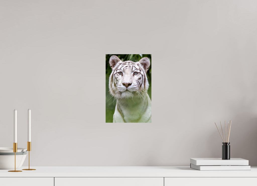 20 x 30 cm, Fine Art Print auf Alu-Dibond Jungle Phantom