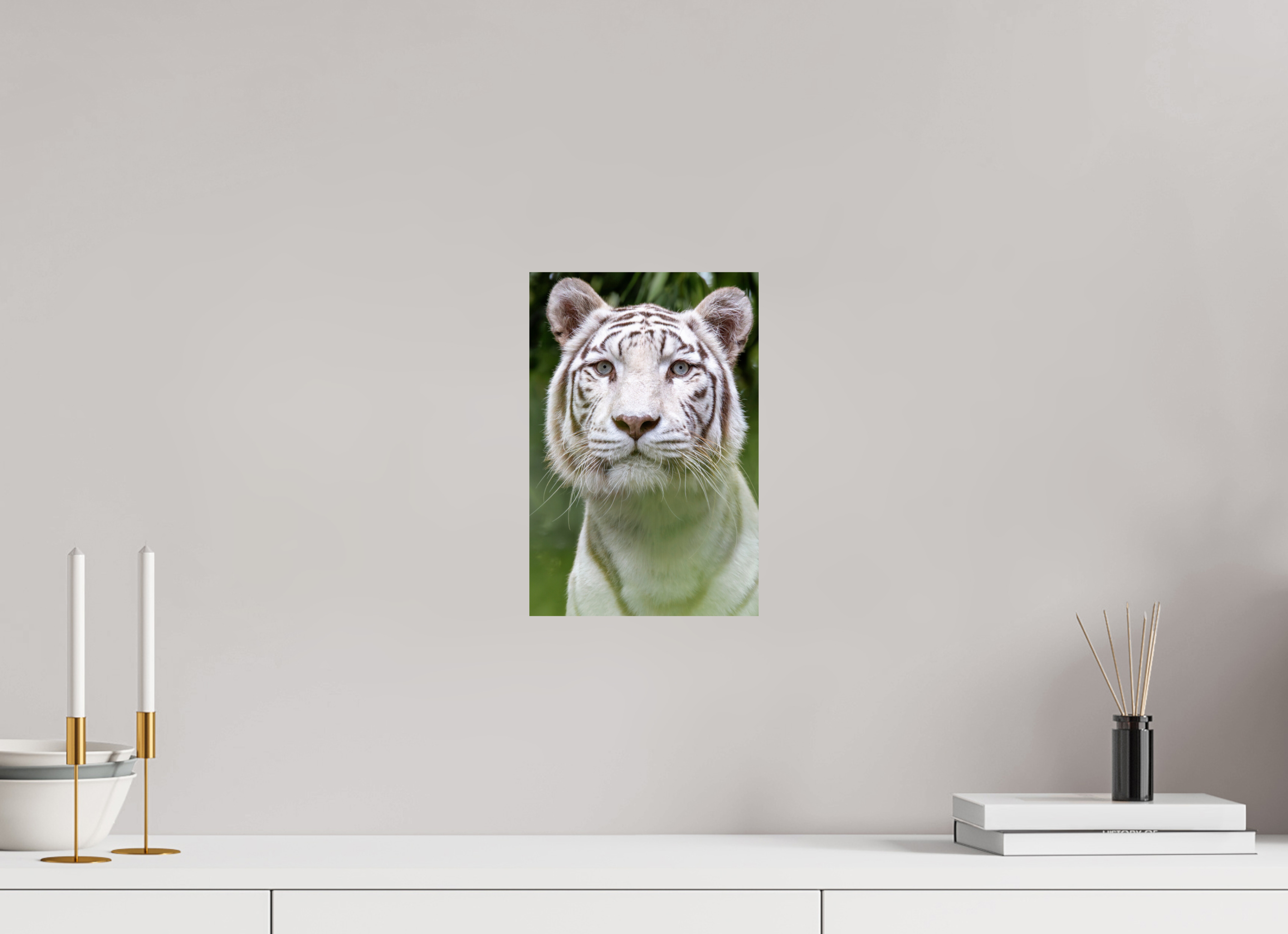 20 x 30 cm, Fine Art Print auf Alu-Dibond Jungle Phantom