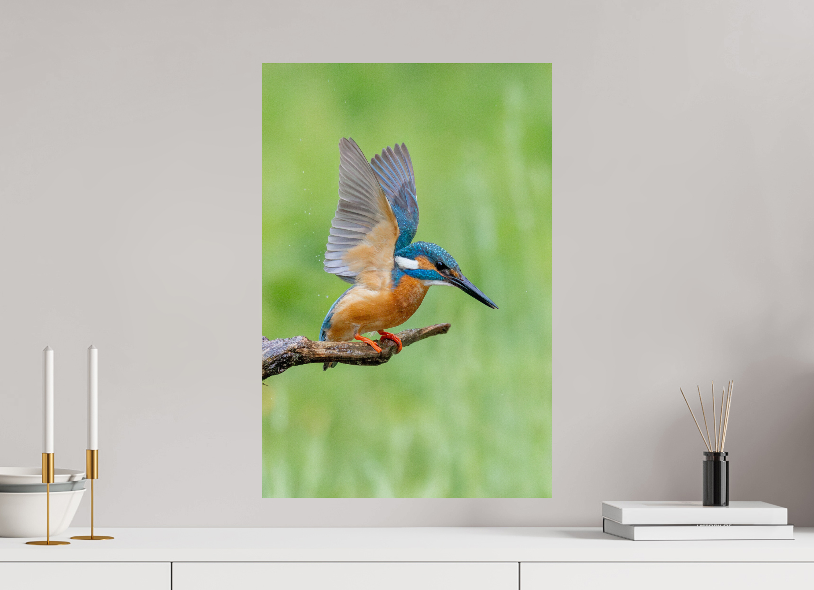 40 x 60 cm, Fine Art Print auf Alu-Dibond Emerald Wings