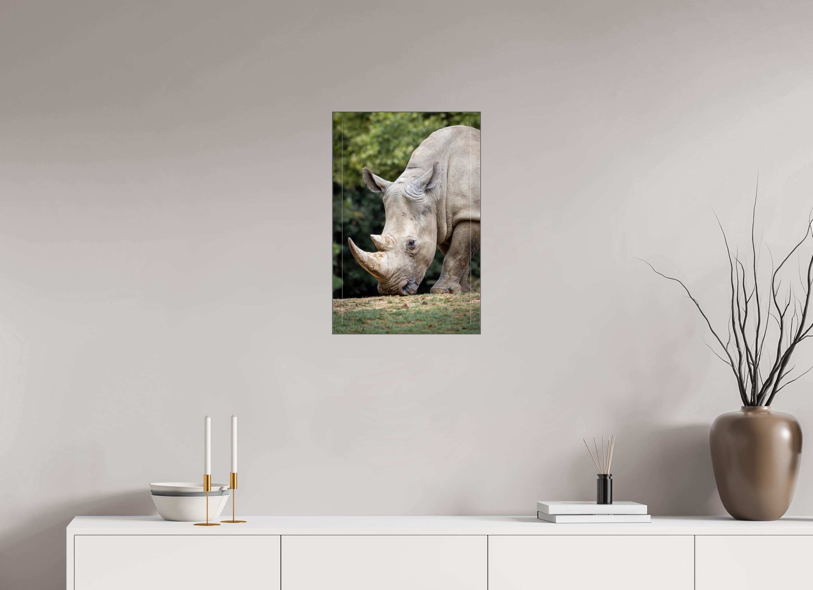 40 x 60 cm, Foto-Abzug hinter Acrylglas glänzend Gentle Grazer