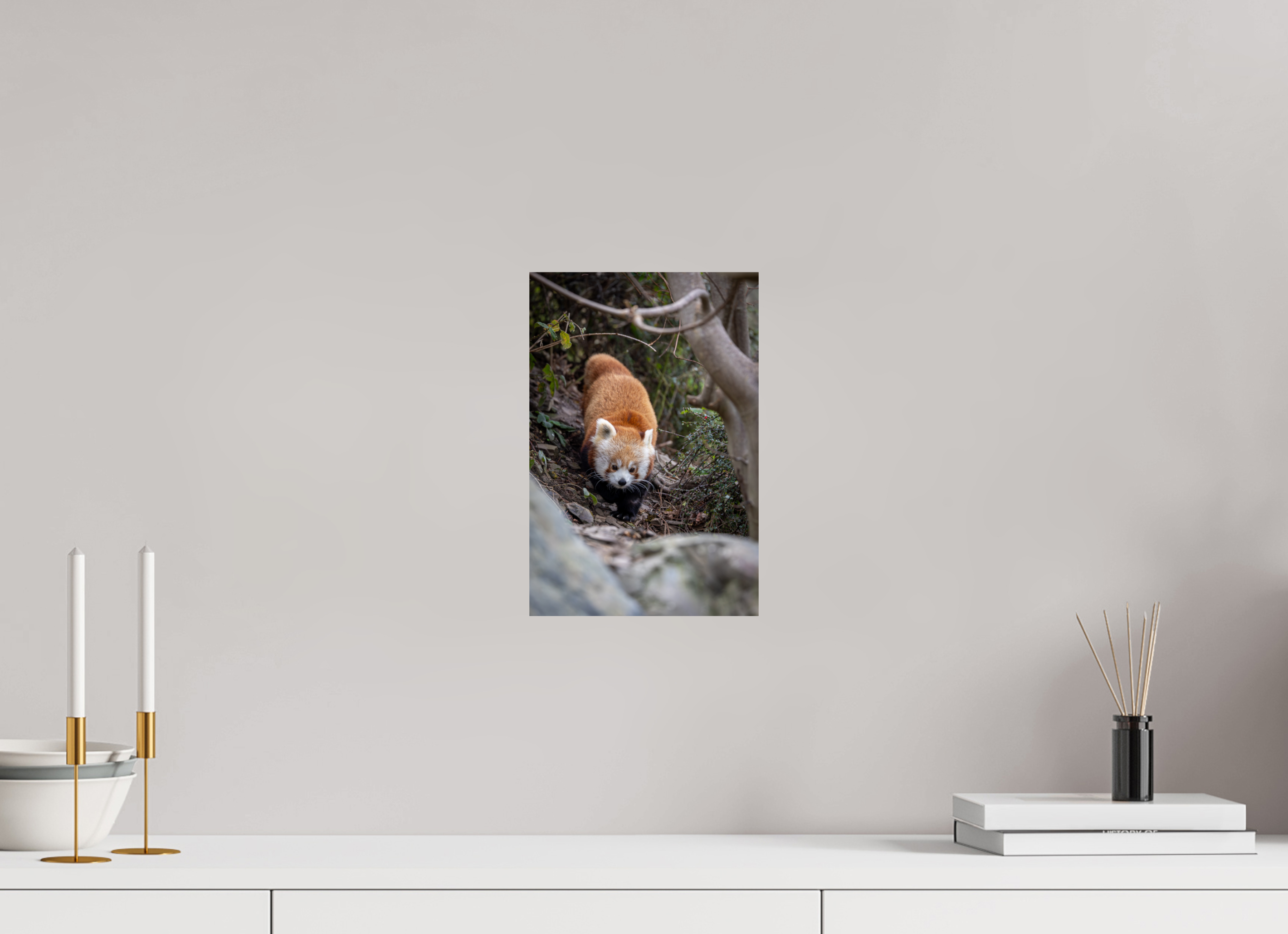20 x 30 cm, Fine Art Print auf Alu-Dibond Forest Wanderer