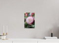 20 x 30 cm, Fine-Art Print Matt Timeless Bloom