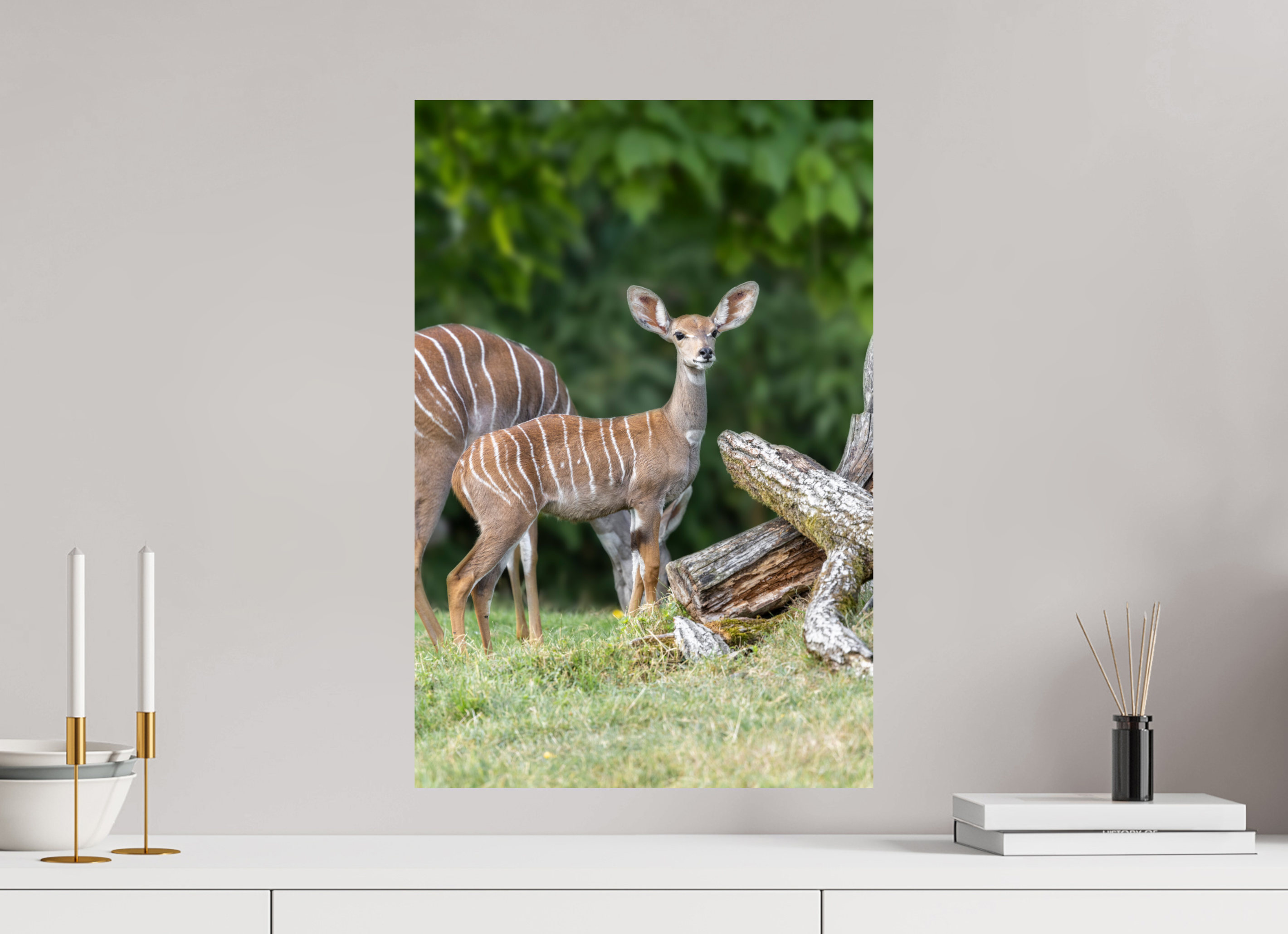 40 x 60 cm, Fine Art Print auf Alu-Dibond Gentle Youth