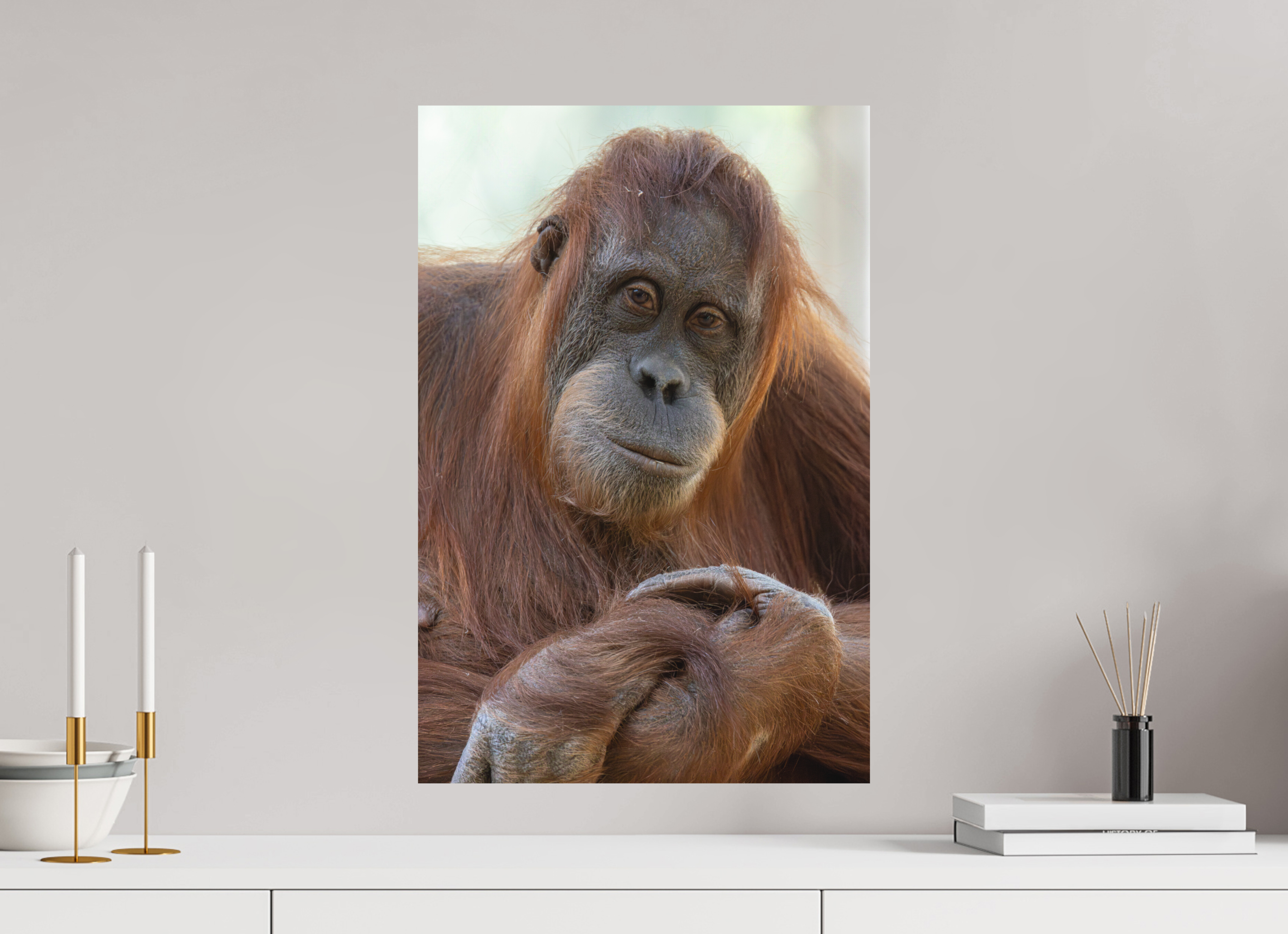 40 x 60 cm, Fine-Art Print Matt Soulful Gaze