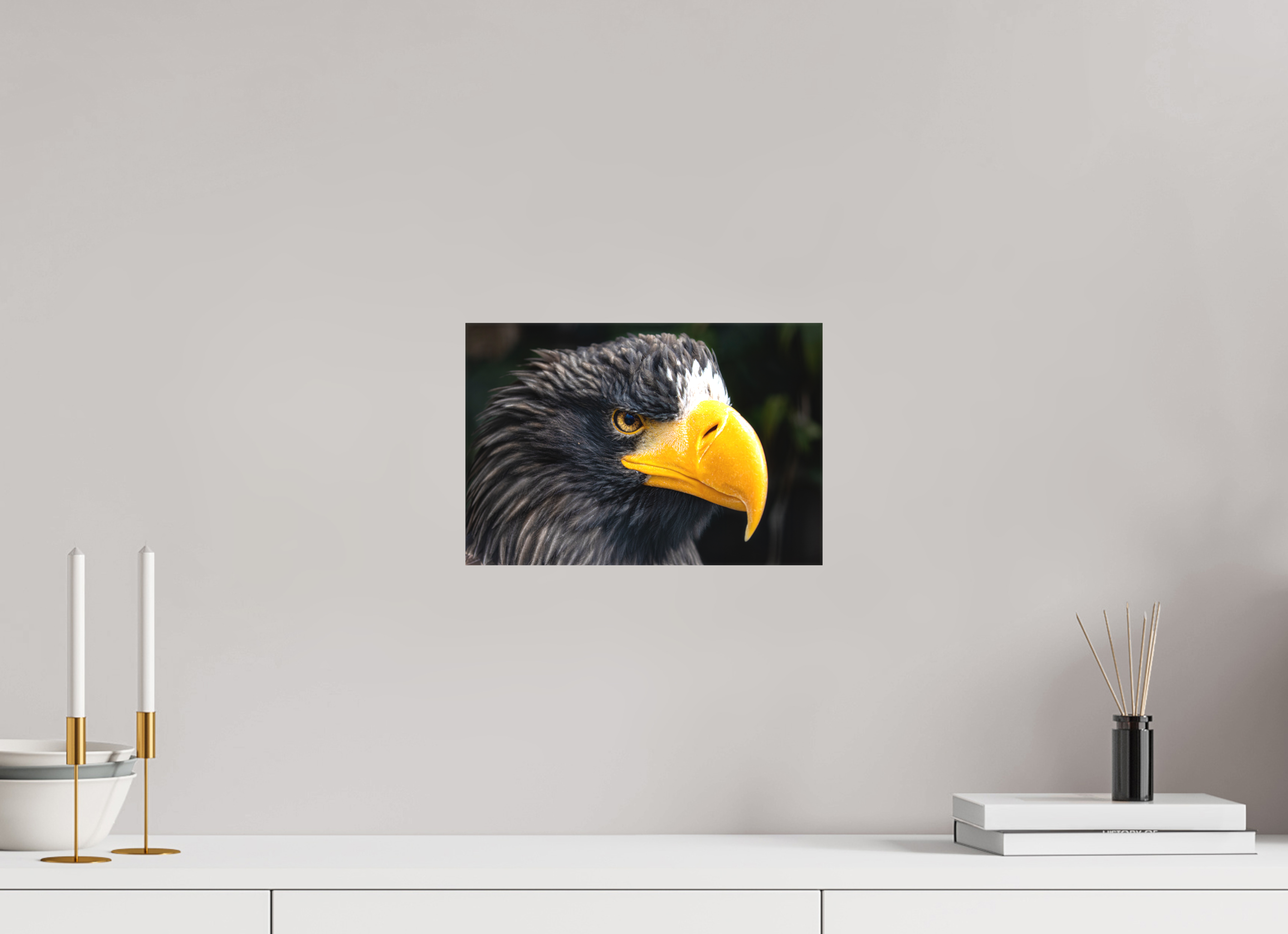 30 x 20 cm, Leinwand Imperial Gaze