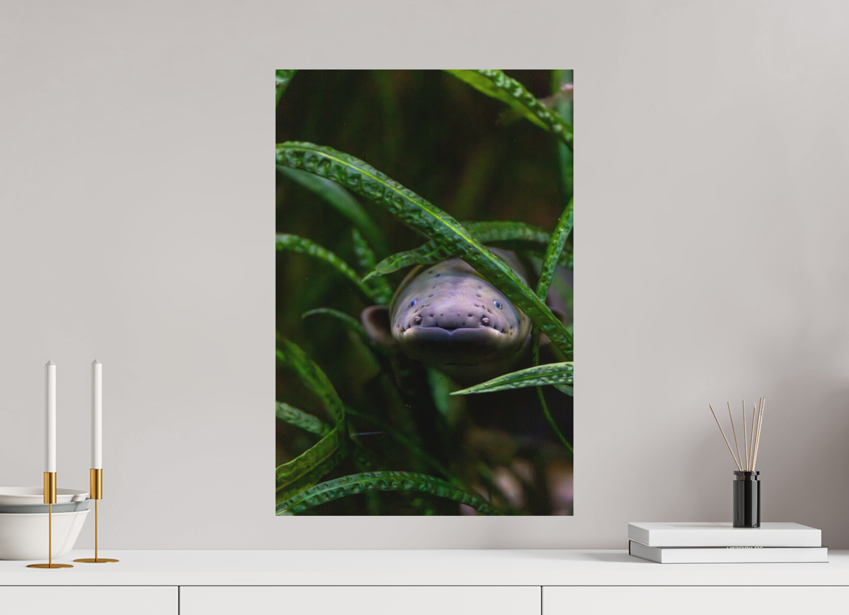 40 x 60 cm, Fine-Art Print Matt Electric Peek