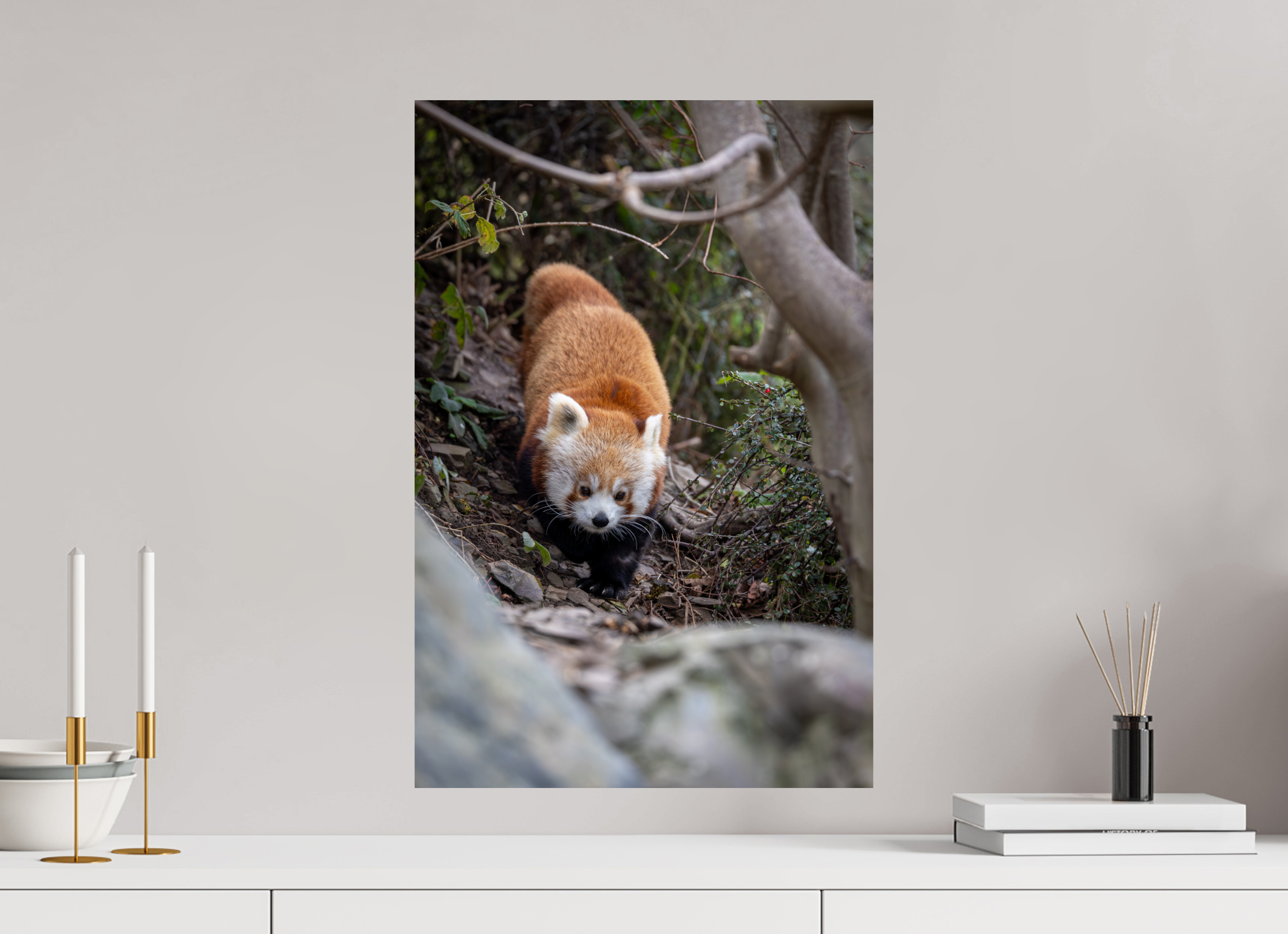 40 x 60 cm, Fine Art Print auf Alu-Dibond Forest Wanderer