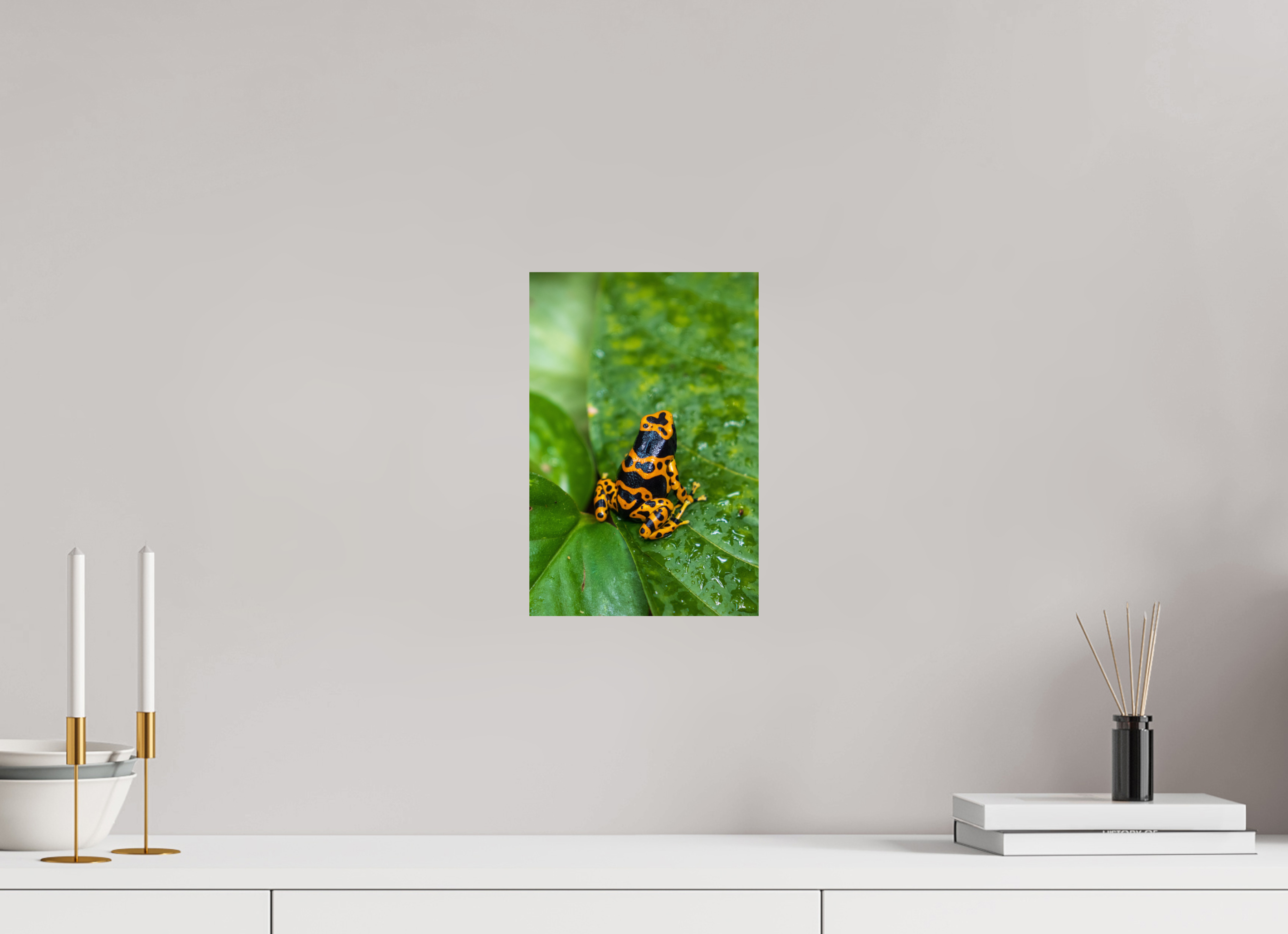 20 x 30 cm, Fine Art Print auf Alu-Dibond Tropical Contrast