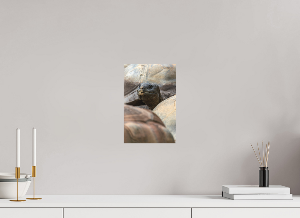 20 x 30 cm, Fine-Art Print Matt Peekaboo Giant