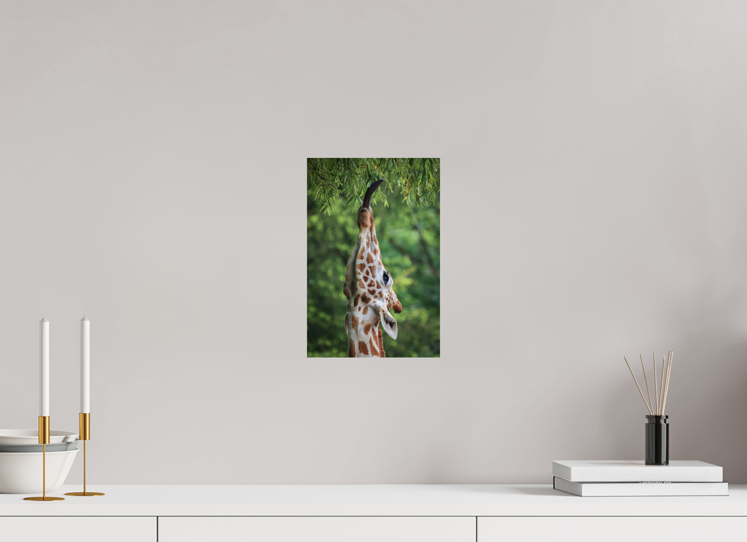 20 x 30 cm, Fine Art Print auf Alu-Dibond Tree Top Snack