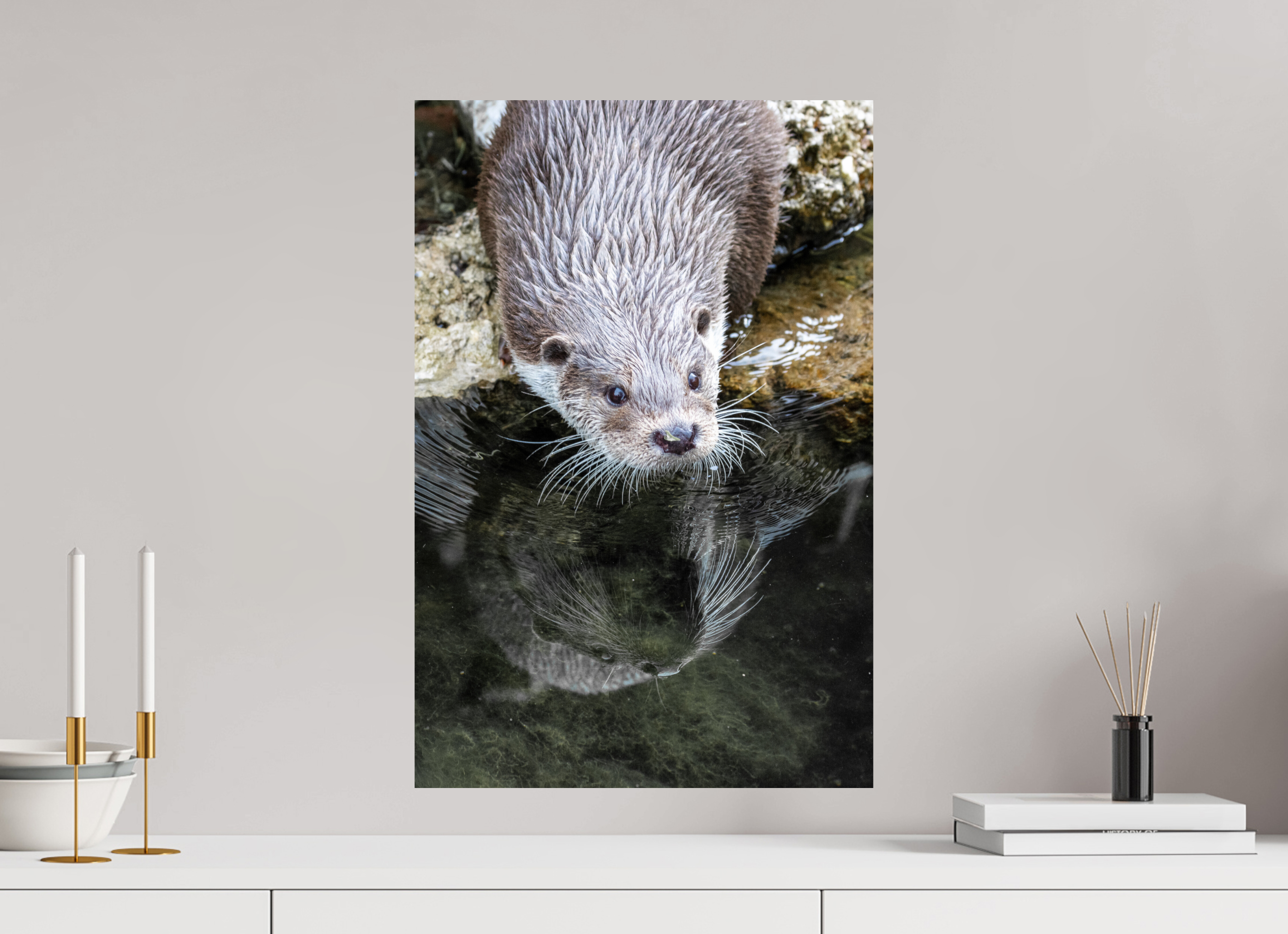 40 x 60 cm, Fine Art Print auf Alu-Dibond Otter Serenity