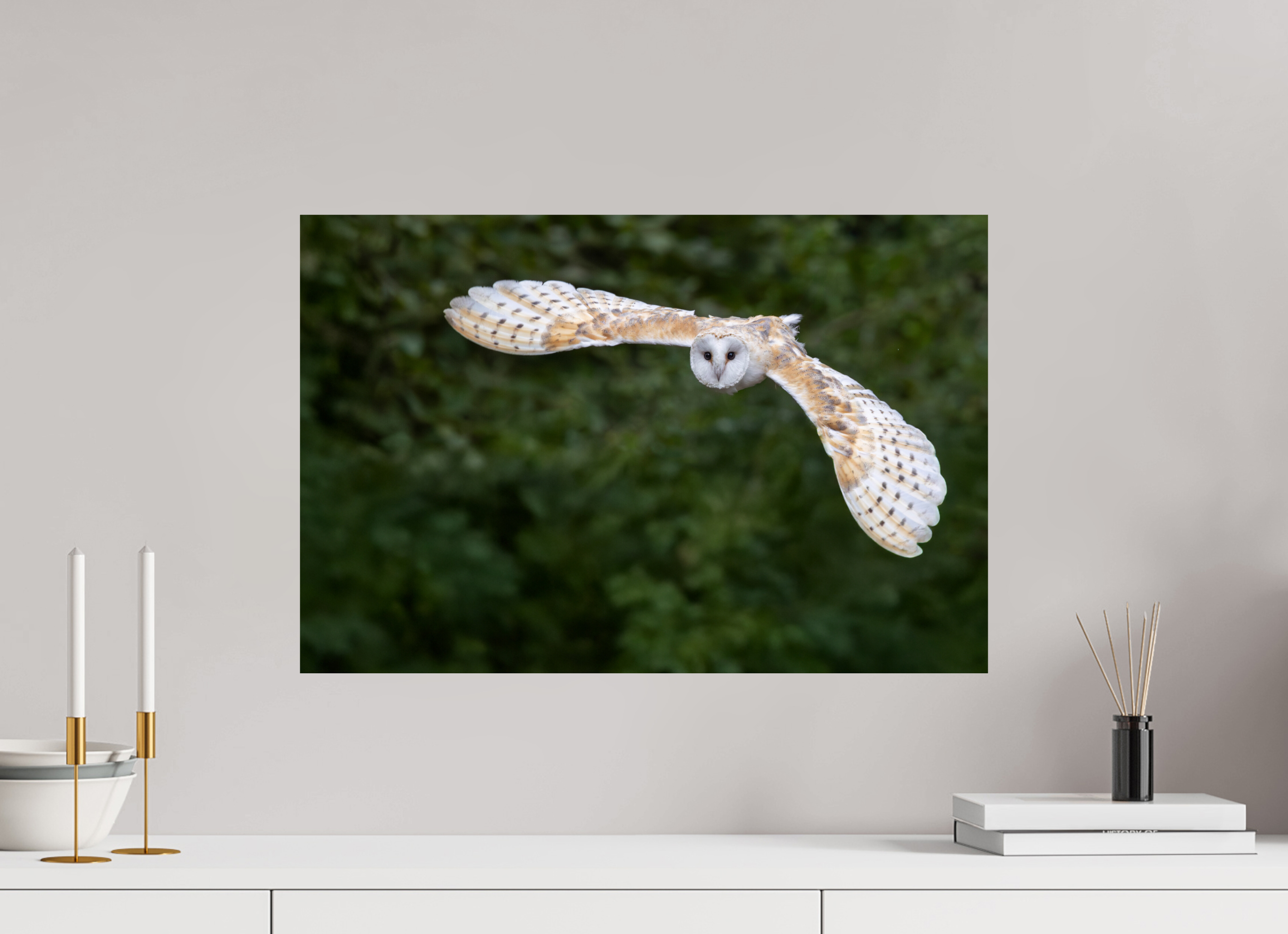 60 x 40 cm, Fine Art Print auf Alu-Dibond Silent Flight