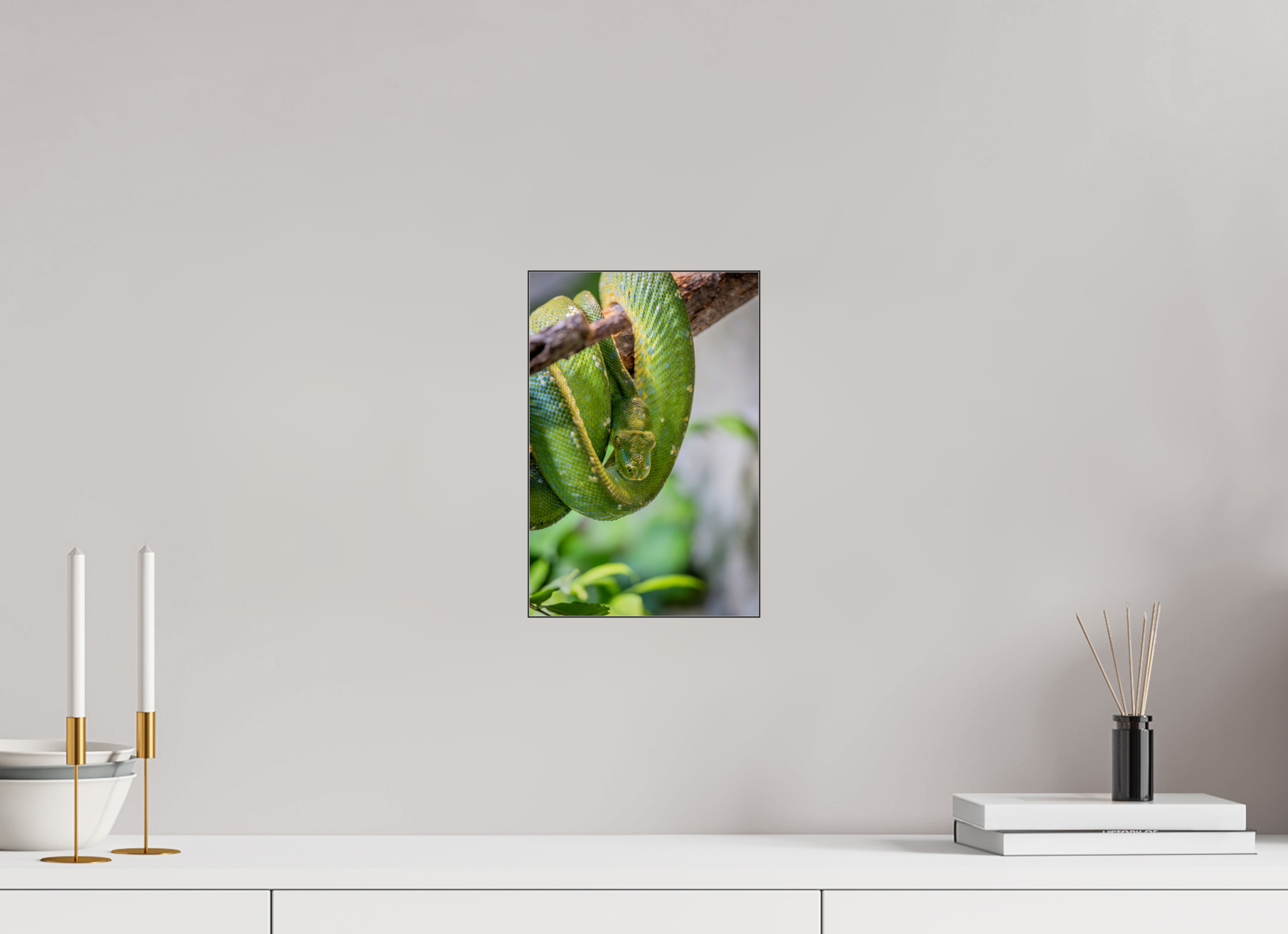 20 x 30 cm, Foto-Abzug hinter Acrylglas glänzend Coiled in Green