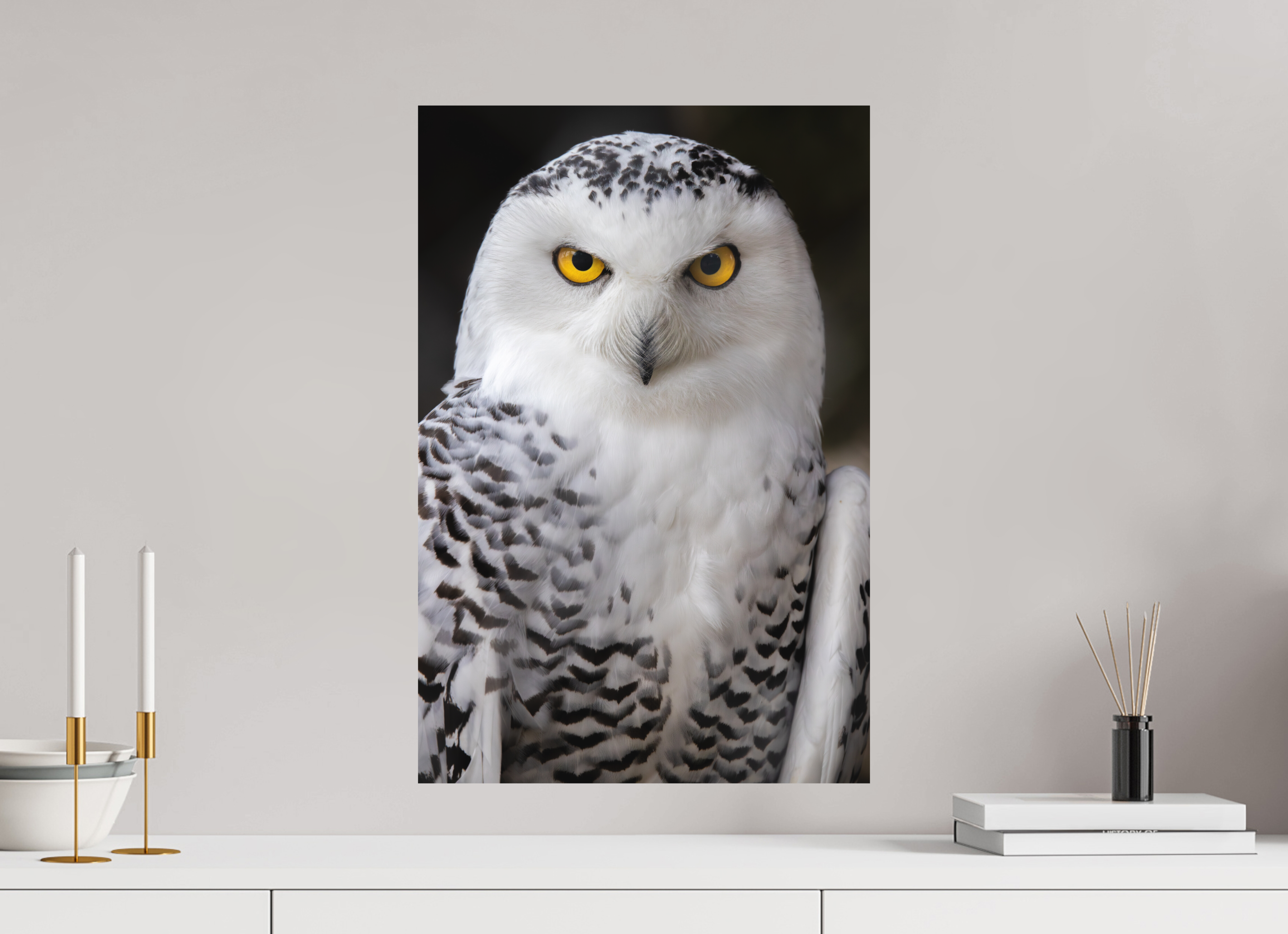 40 x 60 cm, Fine-Art Print Matt Arctic Stare
