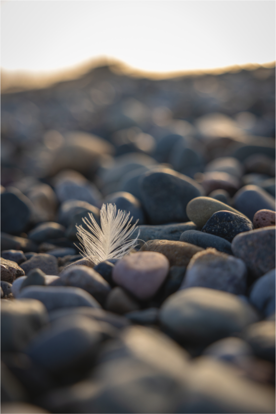 Main image Soft Contrast