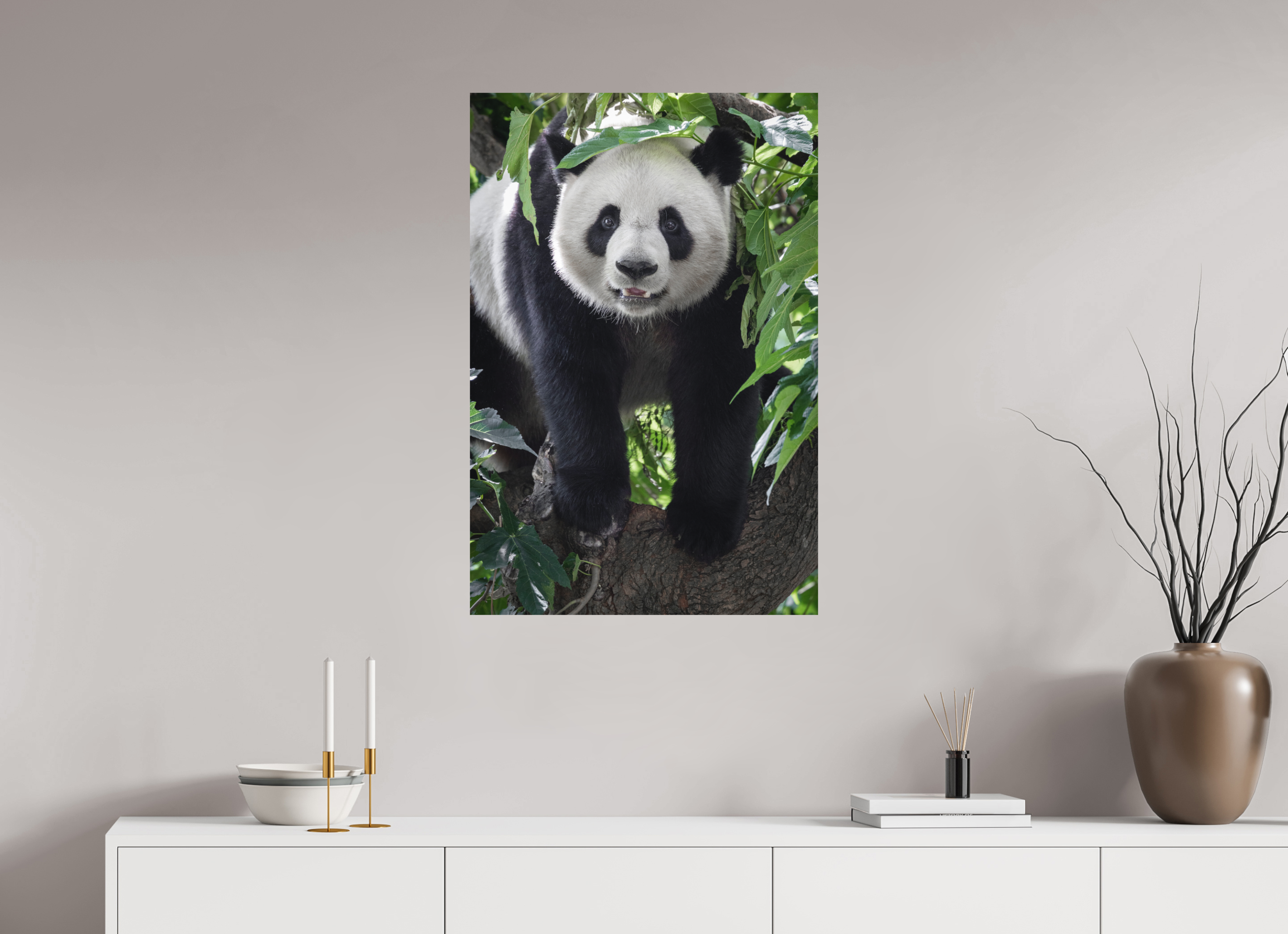 60 x 90 cm, Fine-Art Print Matt Panda Portrait