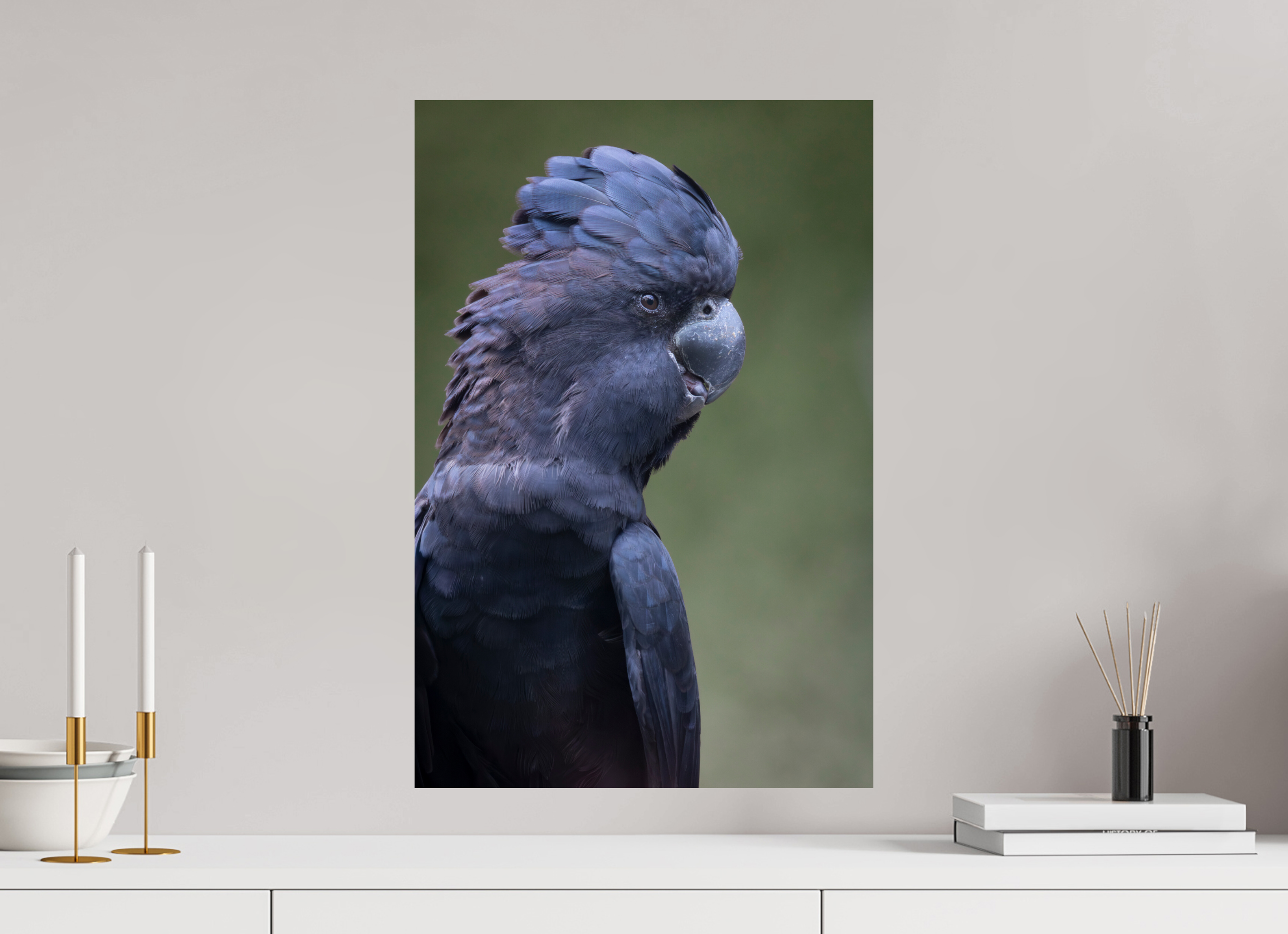 40 x 60 cm, Fine Art Print auf Alu-Dibond Profile of the Black Cockatoo