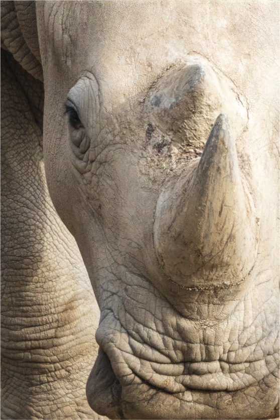 Main image Unbreakable